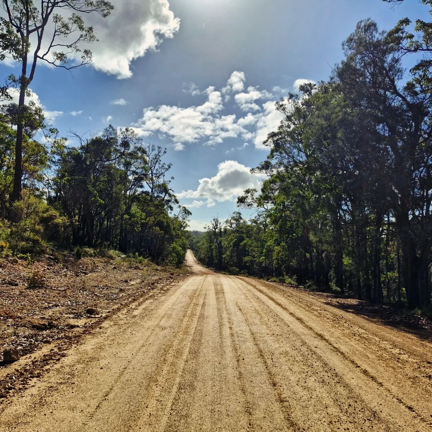 Tiger unleashed. Venturing off course &amp; making the most of the winter sunshine 🌞 
.
Great North Rd.
.
#gravelroads #soloadventures #ridingforpizza
