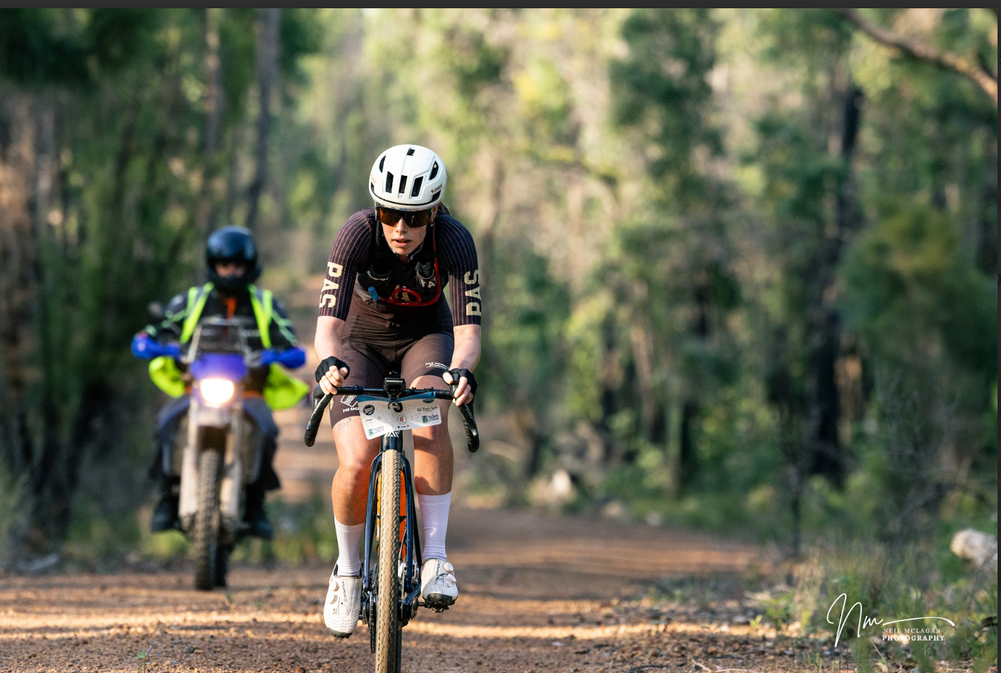 cassia snip neil.png