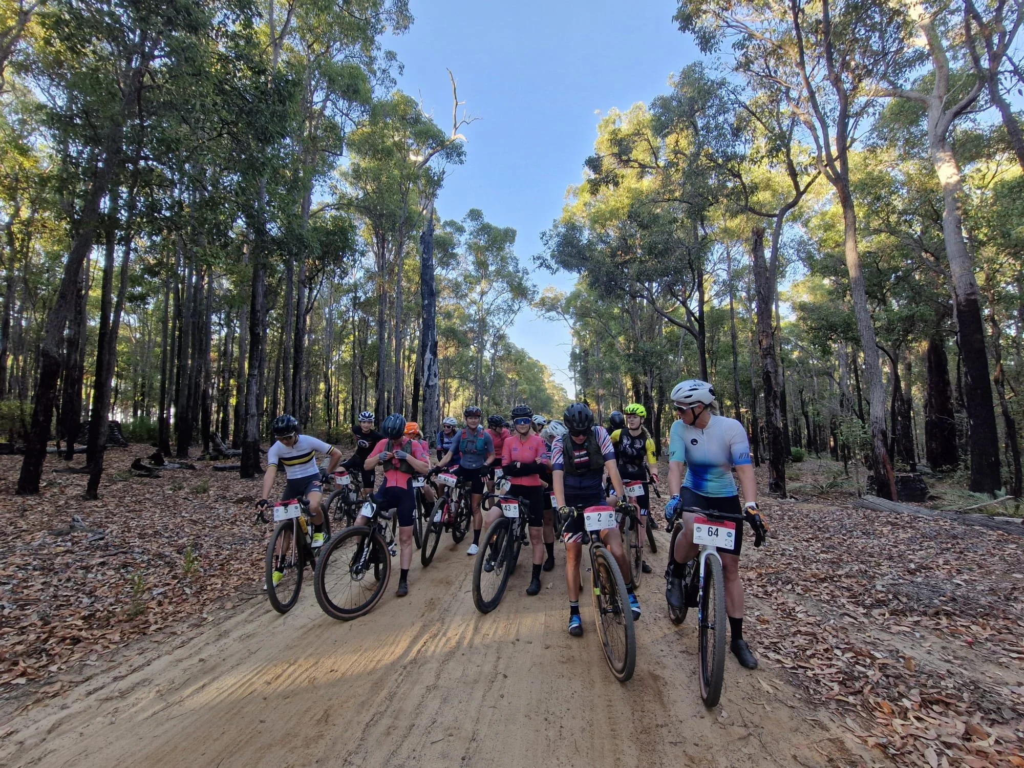 WhatsApp Image 2026-04-13 at 3.22.51 PM.jpeg