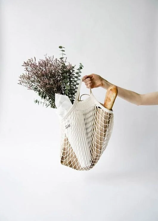 A Dive Into Being Eco-Friendly and Why It’s Important