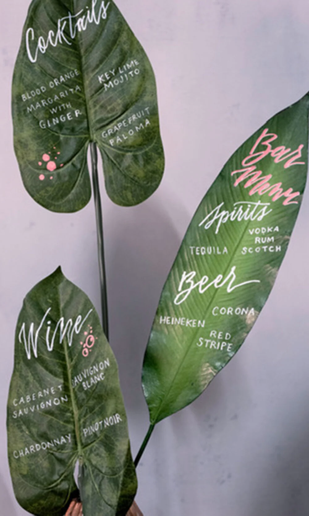 calligraphy-on-greenery.jpg