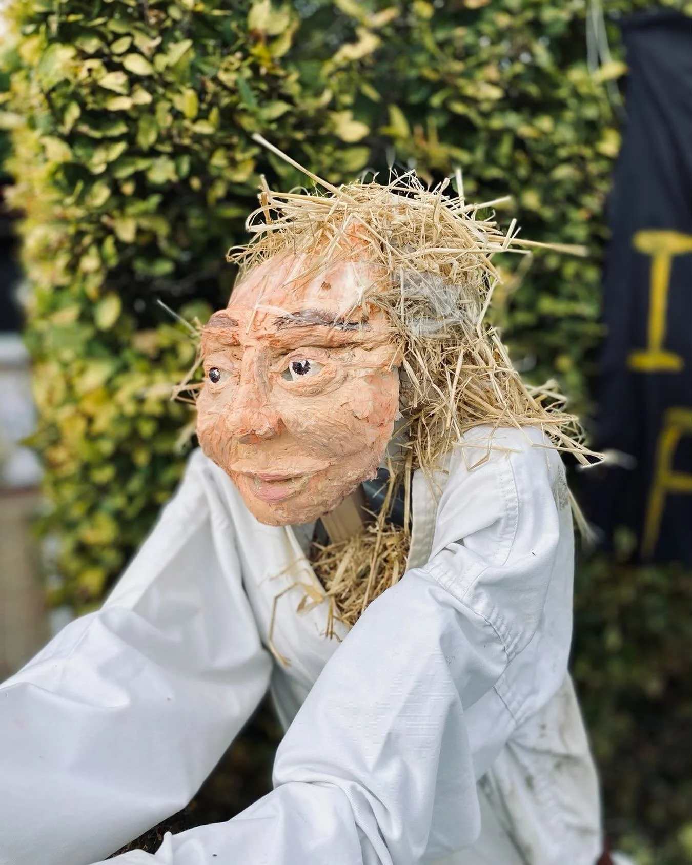 Luke Skywalker on scarecrow trail in Herts
