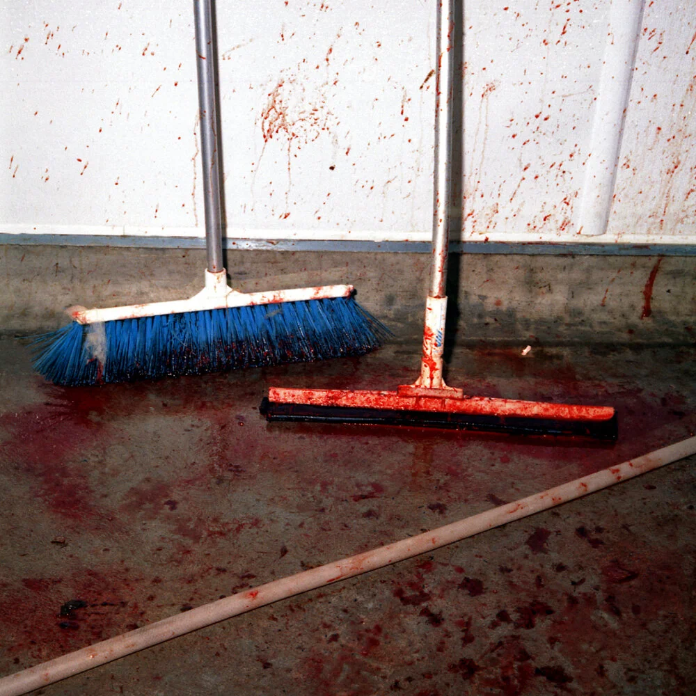 Abattoir Brush and Squeegee