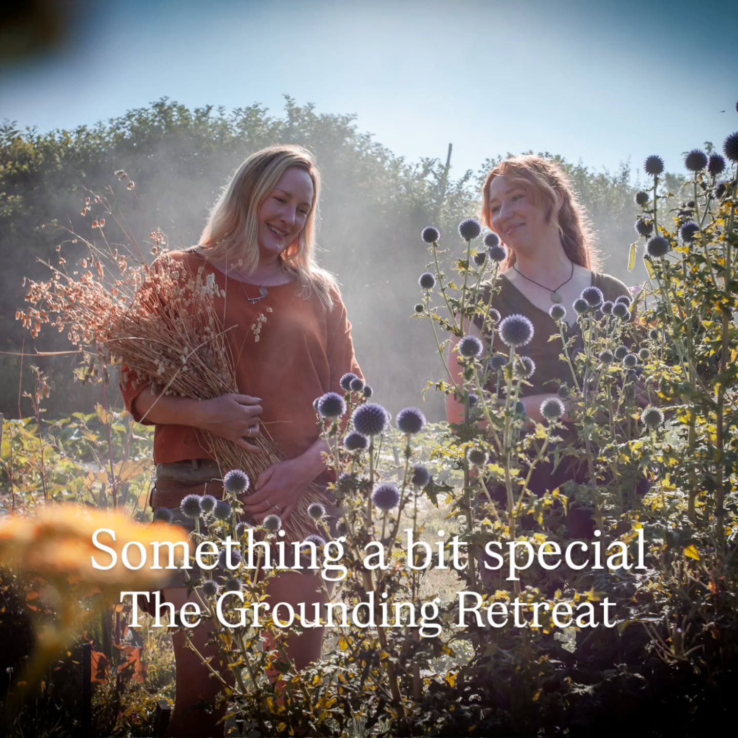 Feeling the need to slow down, breathe a little deeper and reconnect with nature?

Imagine four days of fresh Dartmoor air, seasonal food, kitchen gardening and wild walks, with a little country house luxury thrown in for good measure.

@the_groundin
