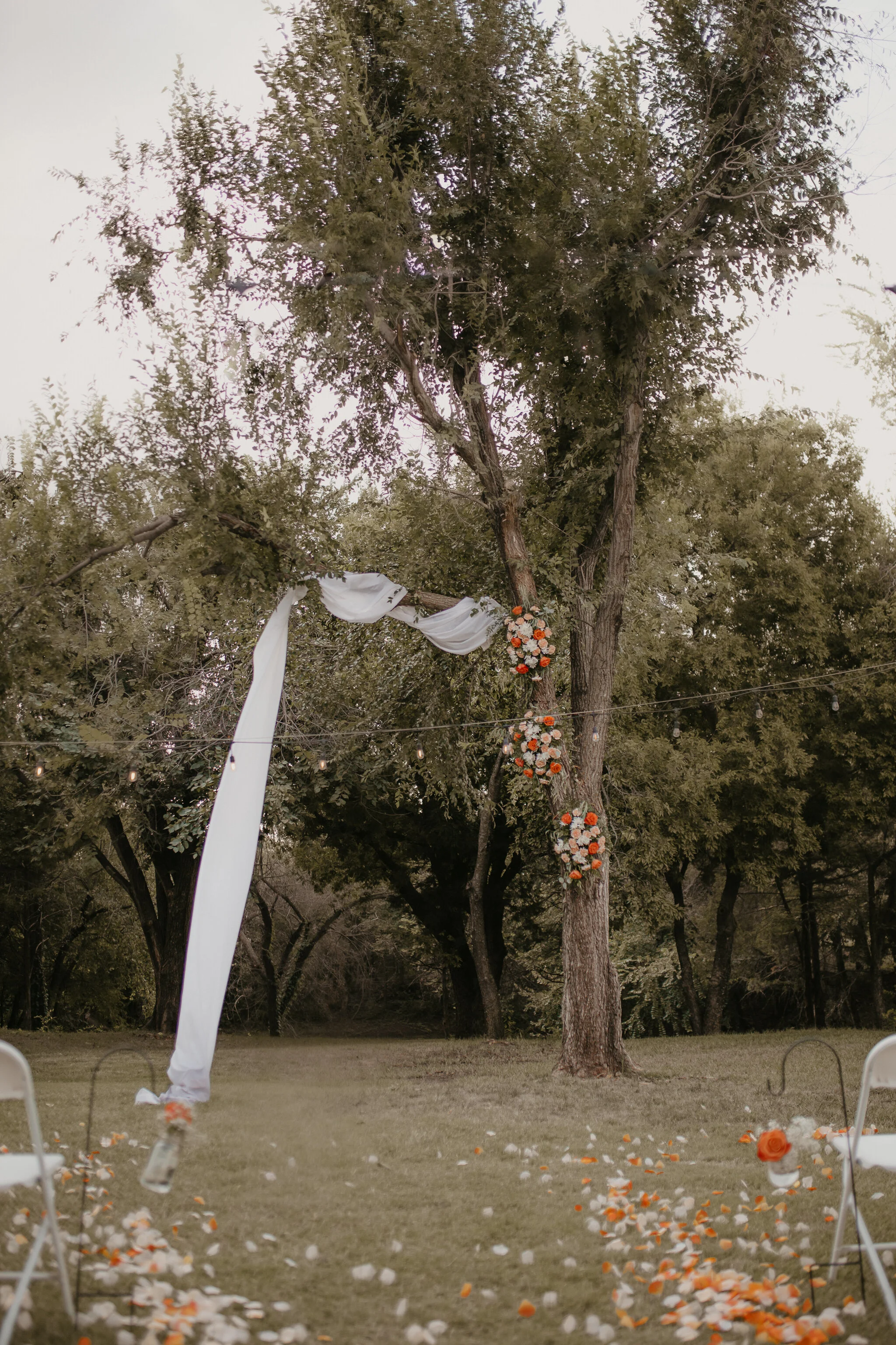 untitled-141.jpg