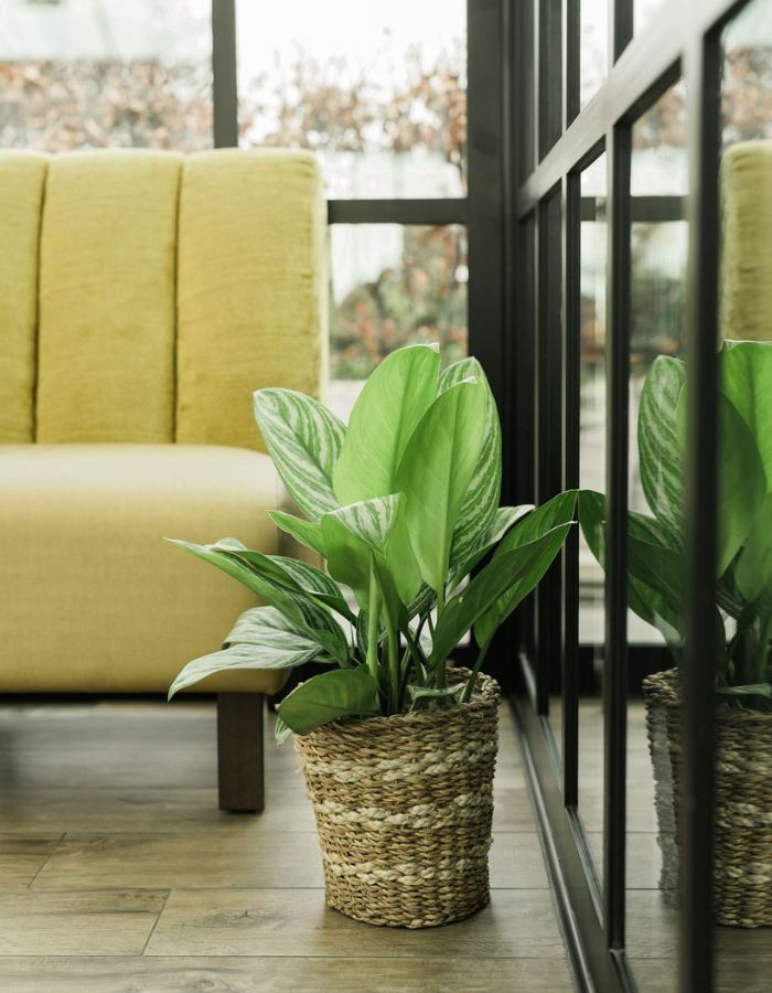 DH web 700x900px-home.png