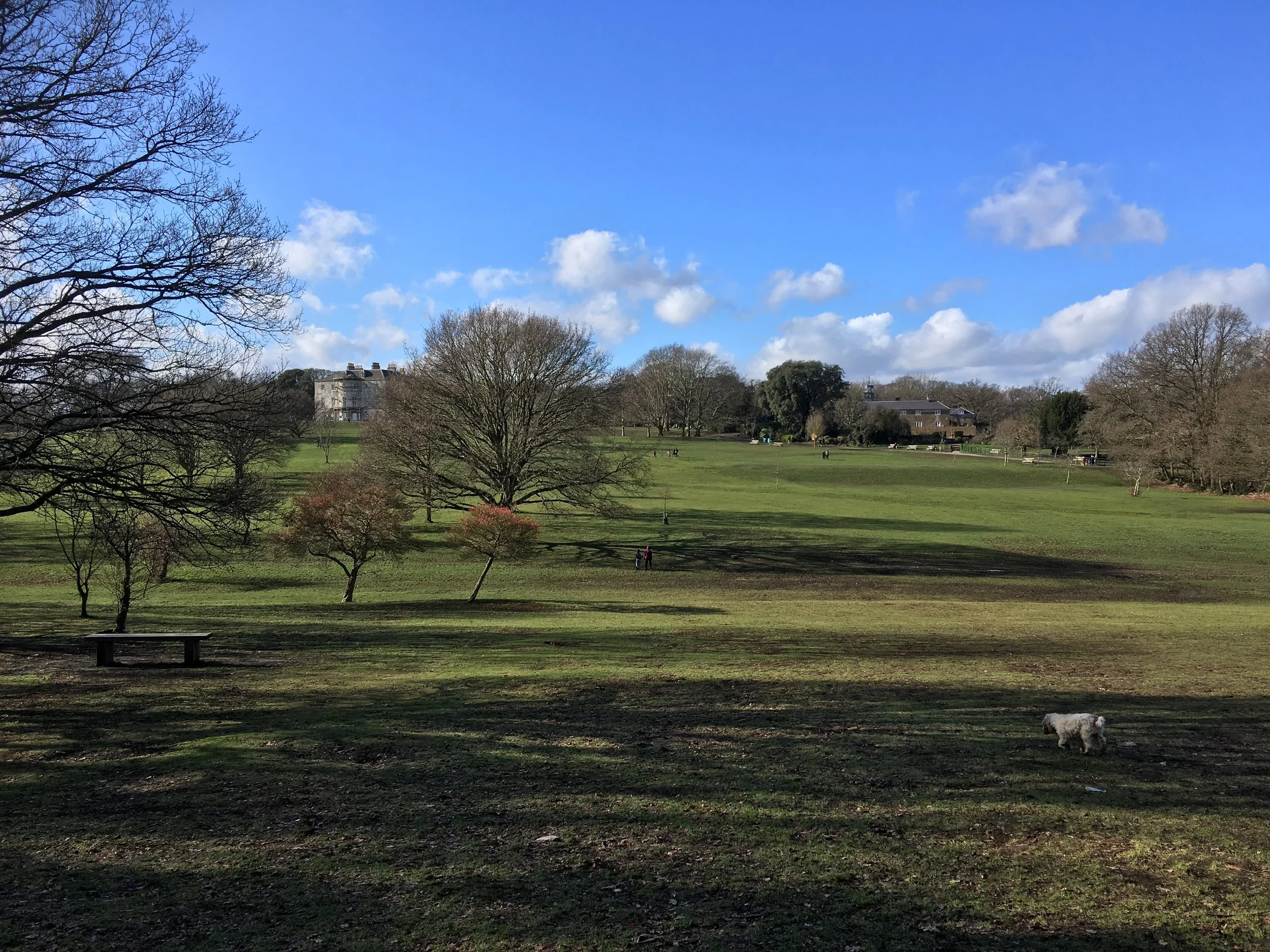Free Weekly Health Walk