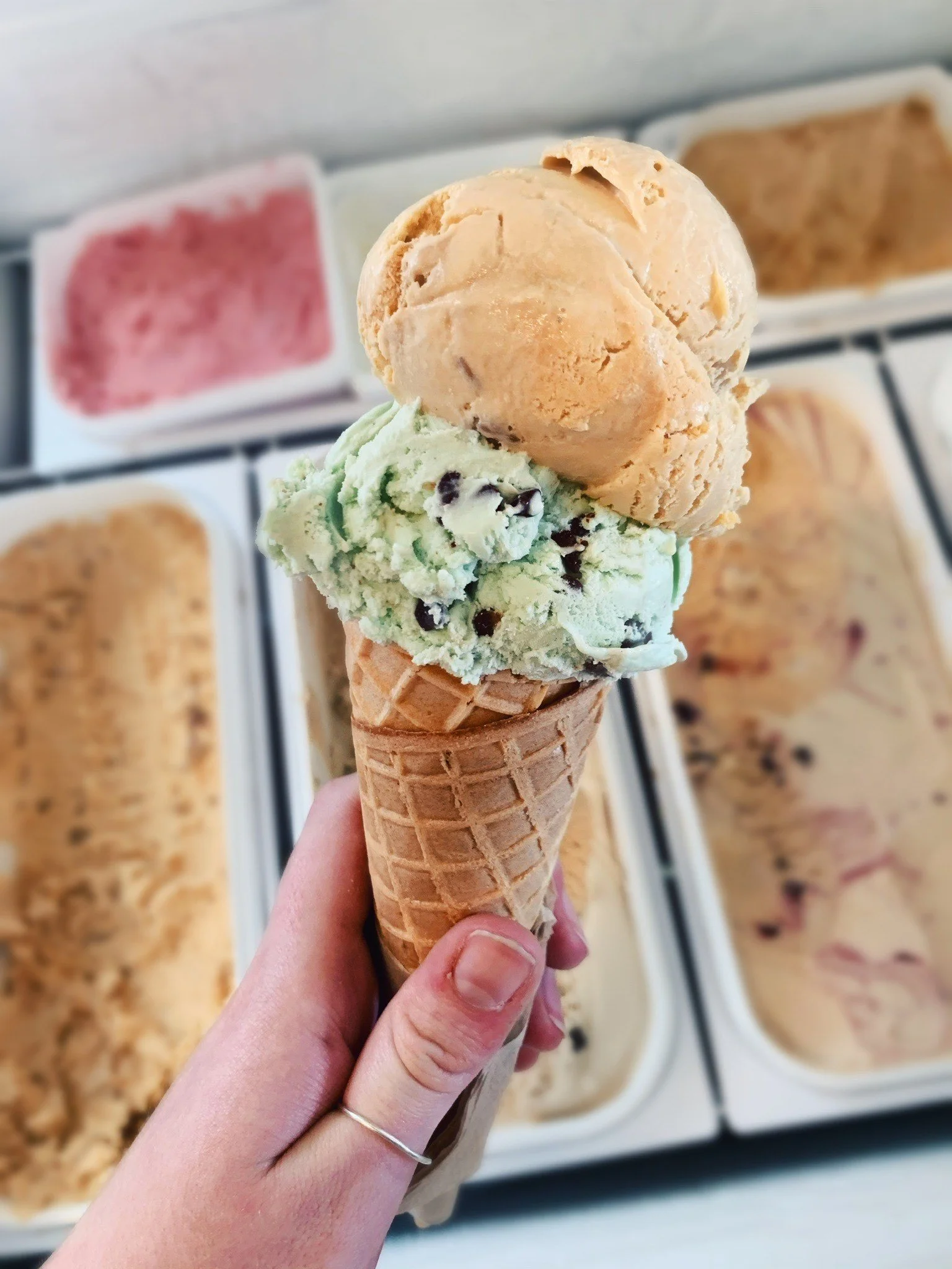 Say NO! To unauthorised polluting Ice Cream Traders!