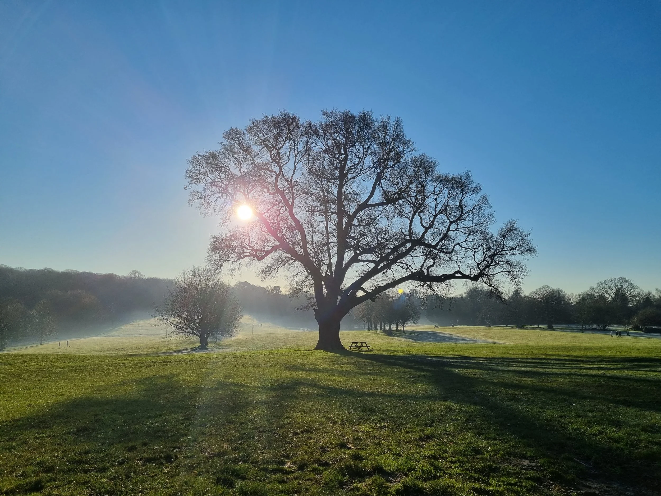 Gardener Apprentice vacancy