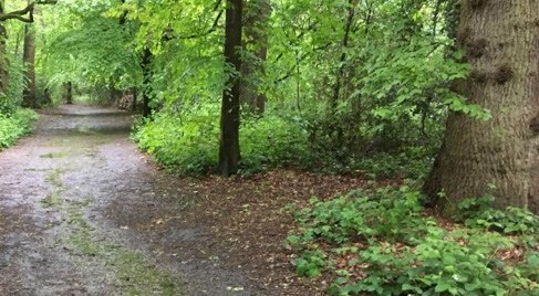 Nature Trails