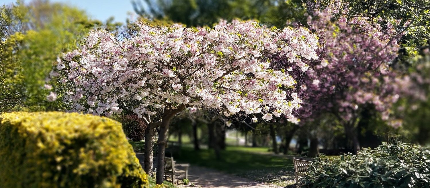 Brief history of Beckenham Place Park