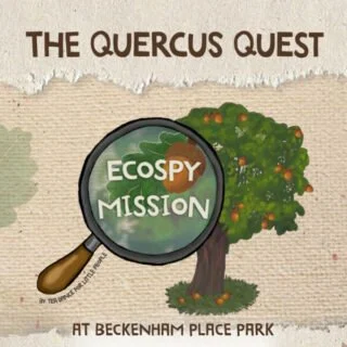 Brand new Story Map! 