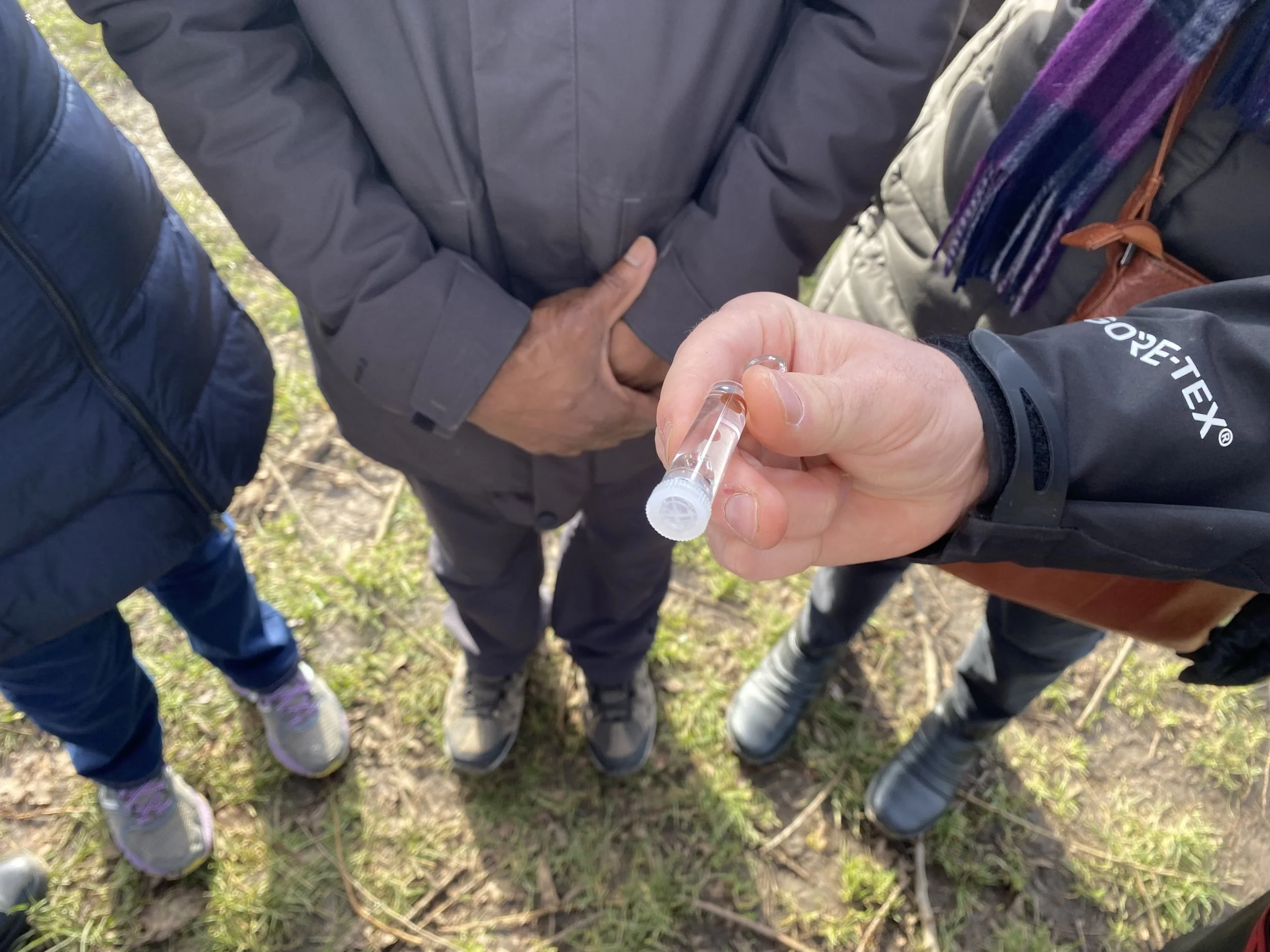 Ravensbourne River in Beckenham Place Park 