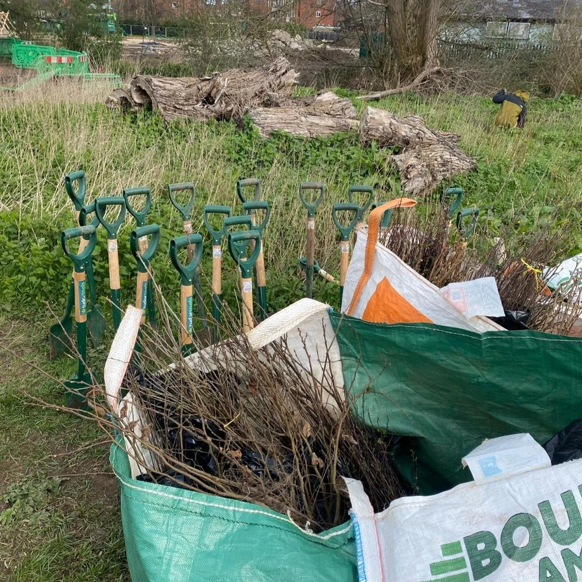 Thanks to our tree planting heroes!