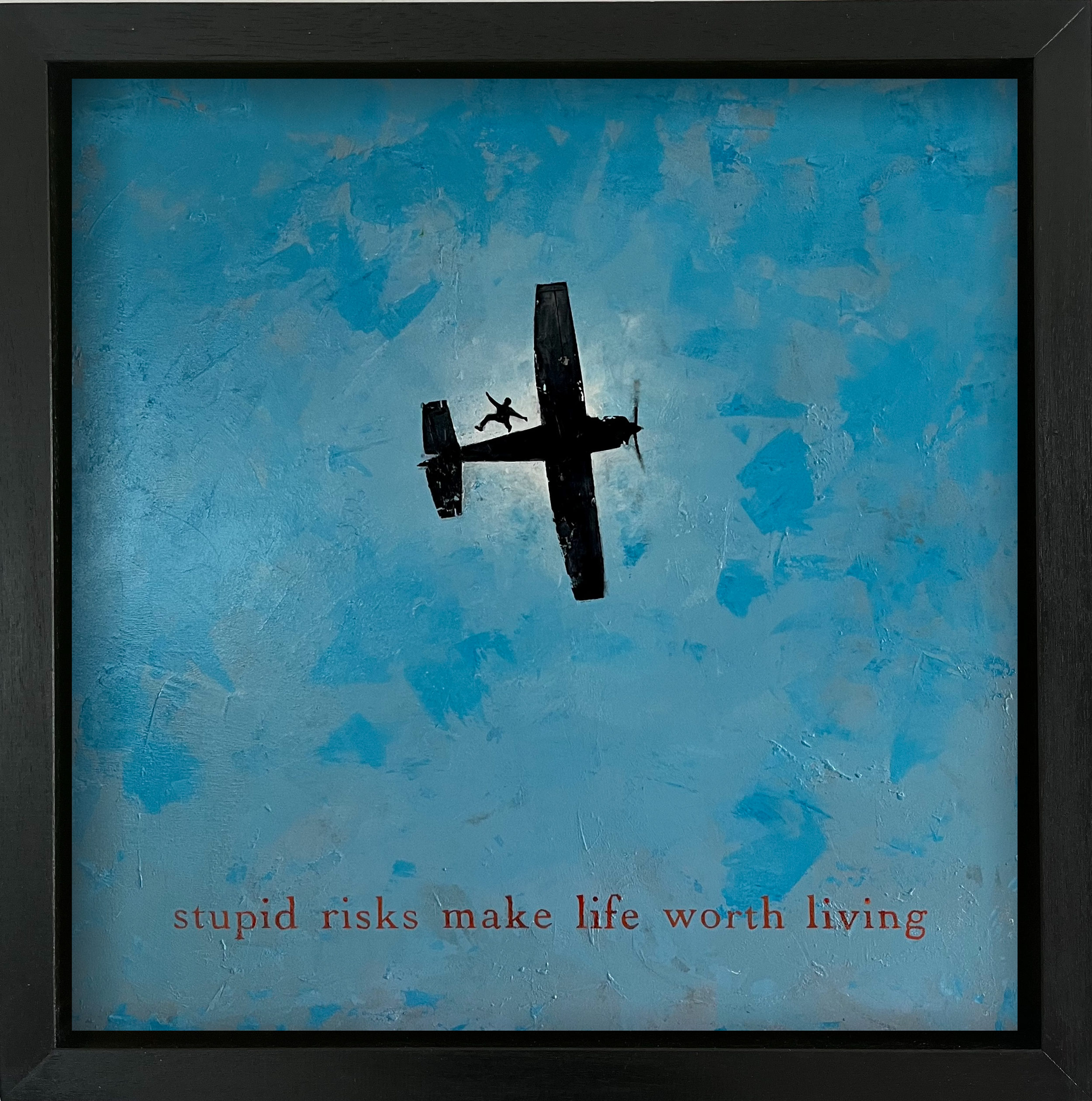 stupid-risks-framed.png