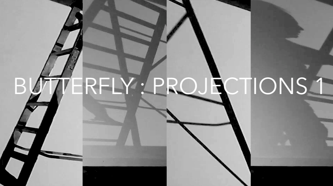 Butterfly: Projections (Home)