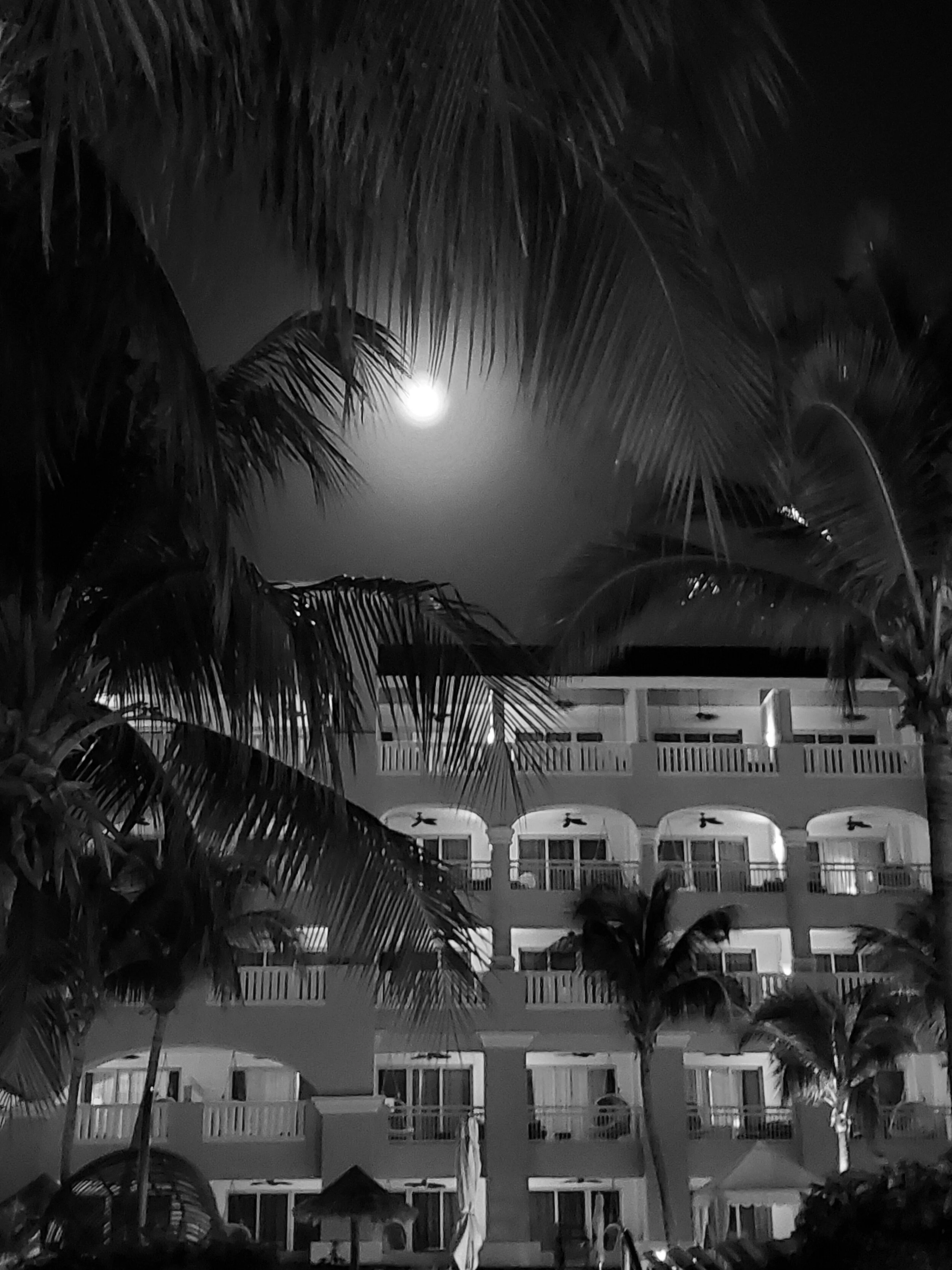 Full Moon in Jamaica