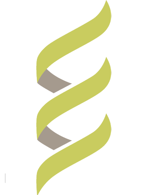About us — Helix CMS