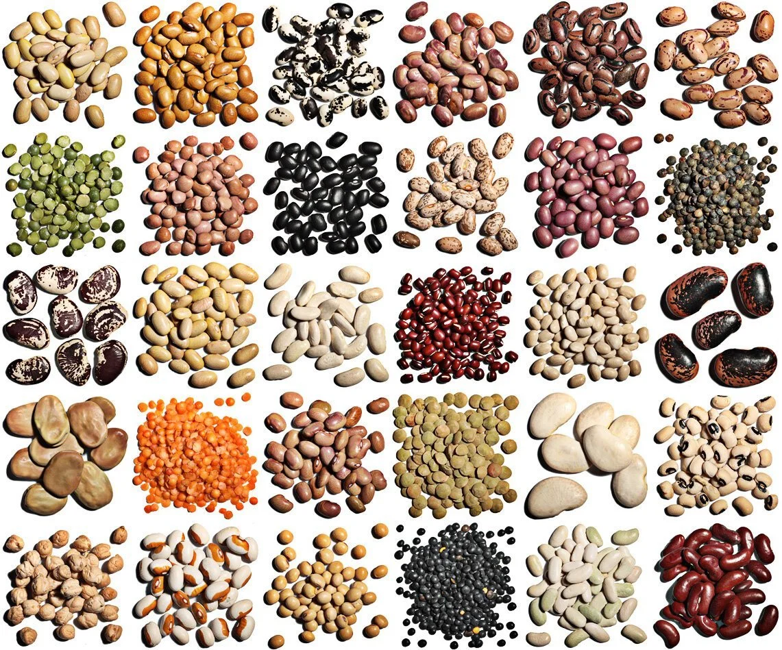 still_life_6_1600_bean_chart-1.jpg