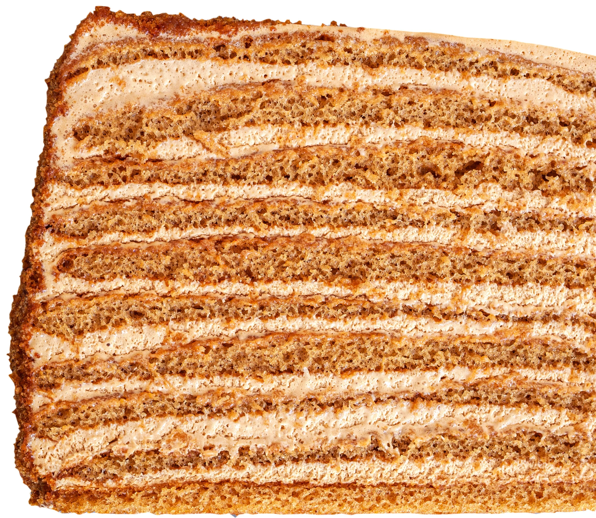 russian honey cake layers tan studio photography 20th century san francisco