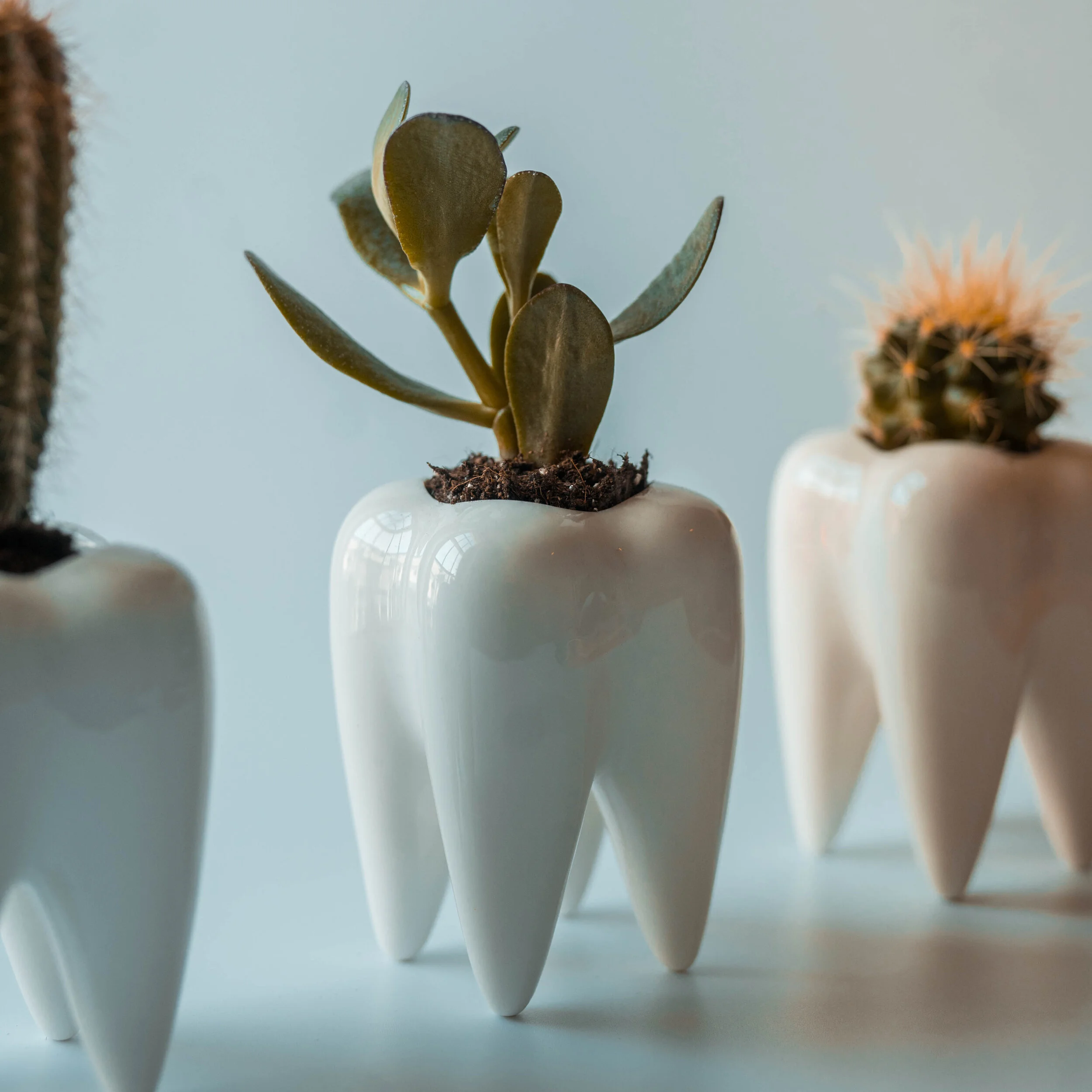 Wearside Orthodontic Centre