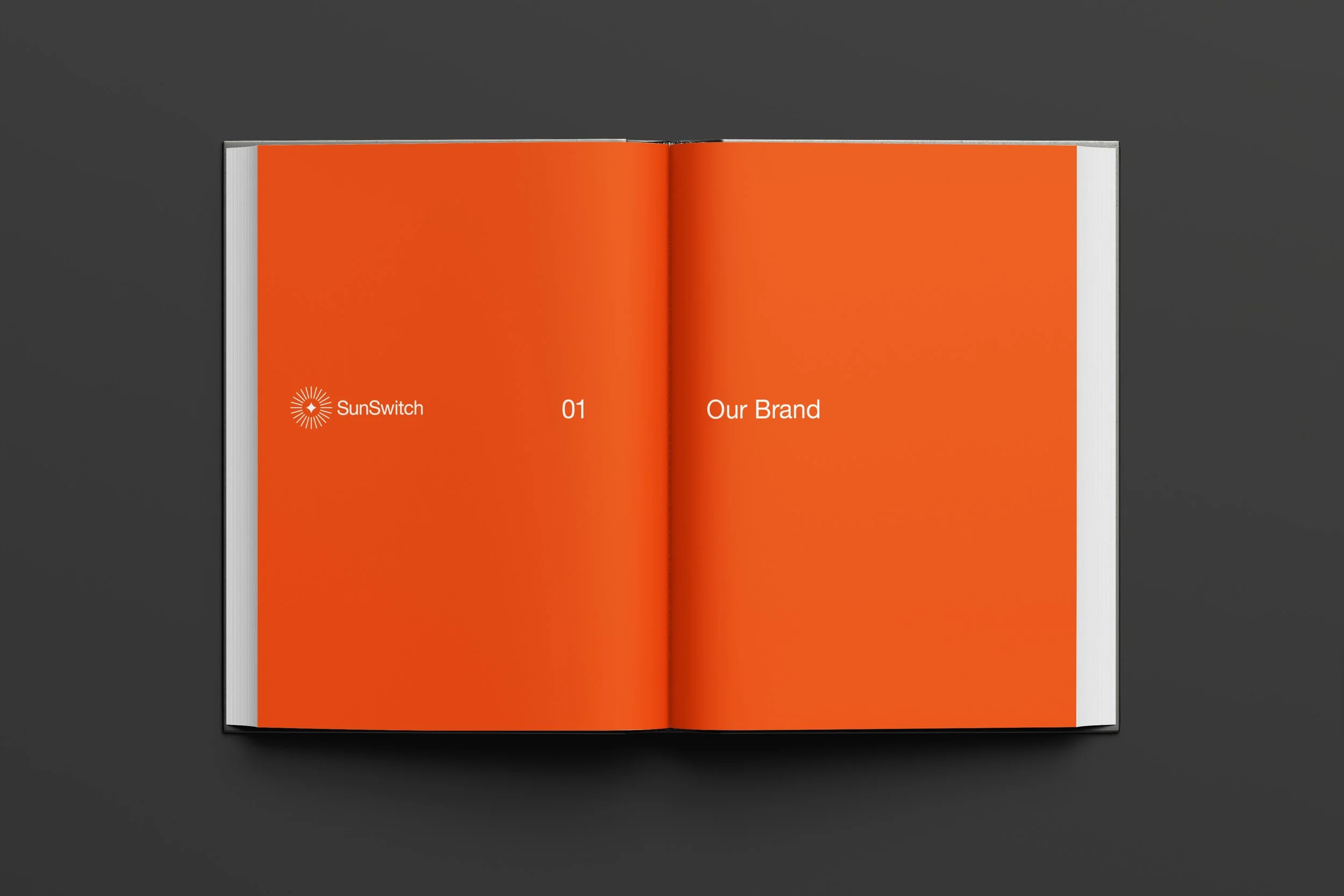 SunSwitch_Brand_Book_Spreads_V1.jpg
