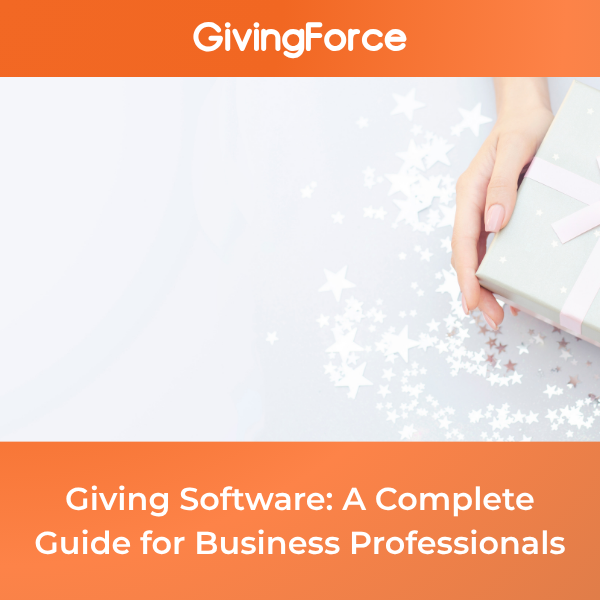 Giving Software: A Complete Guide for Business Professionals