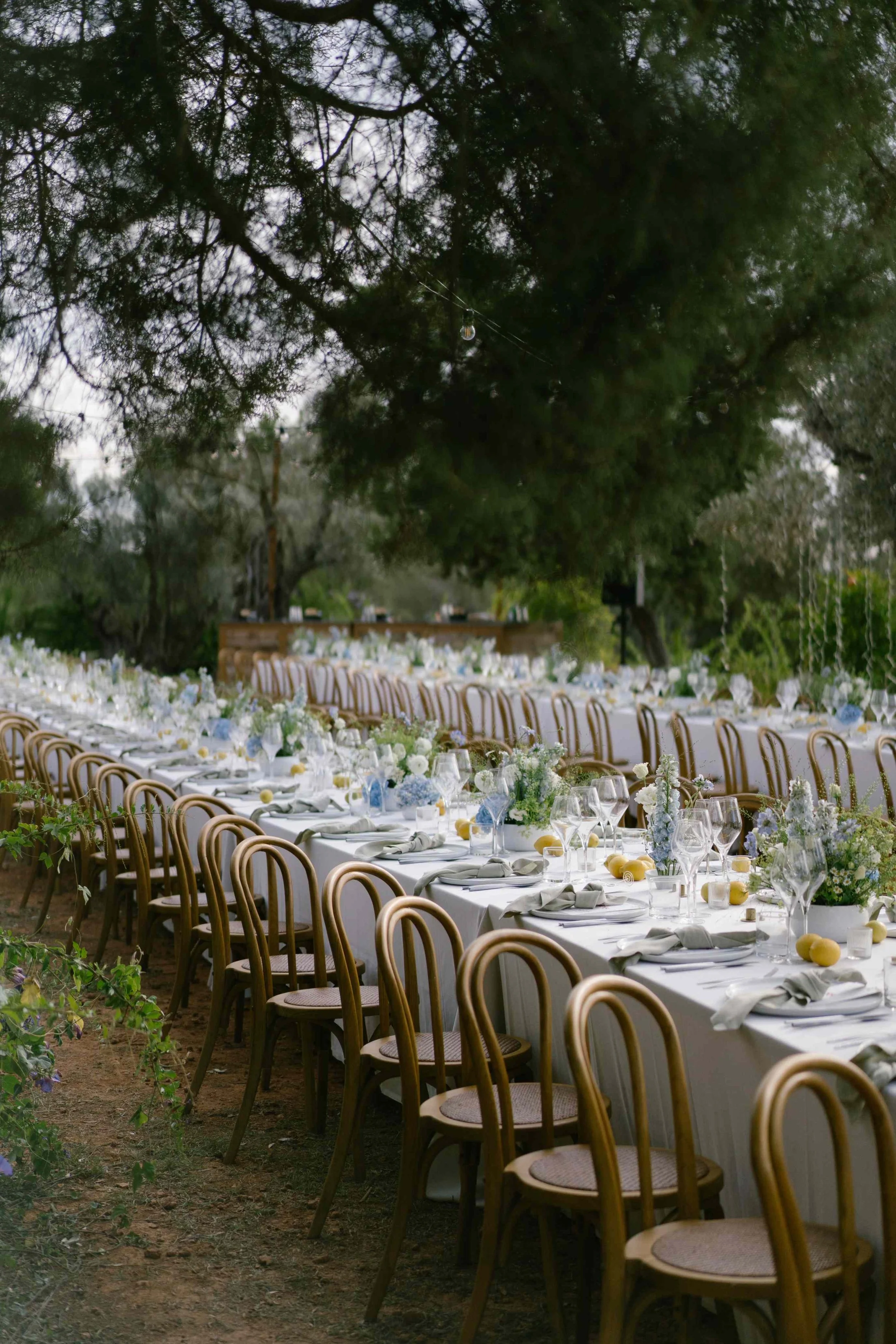table setting (6).jpg