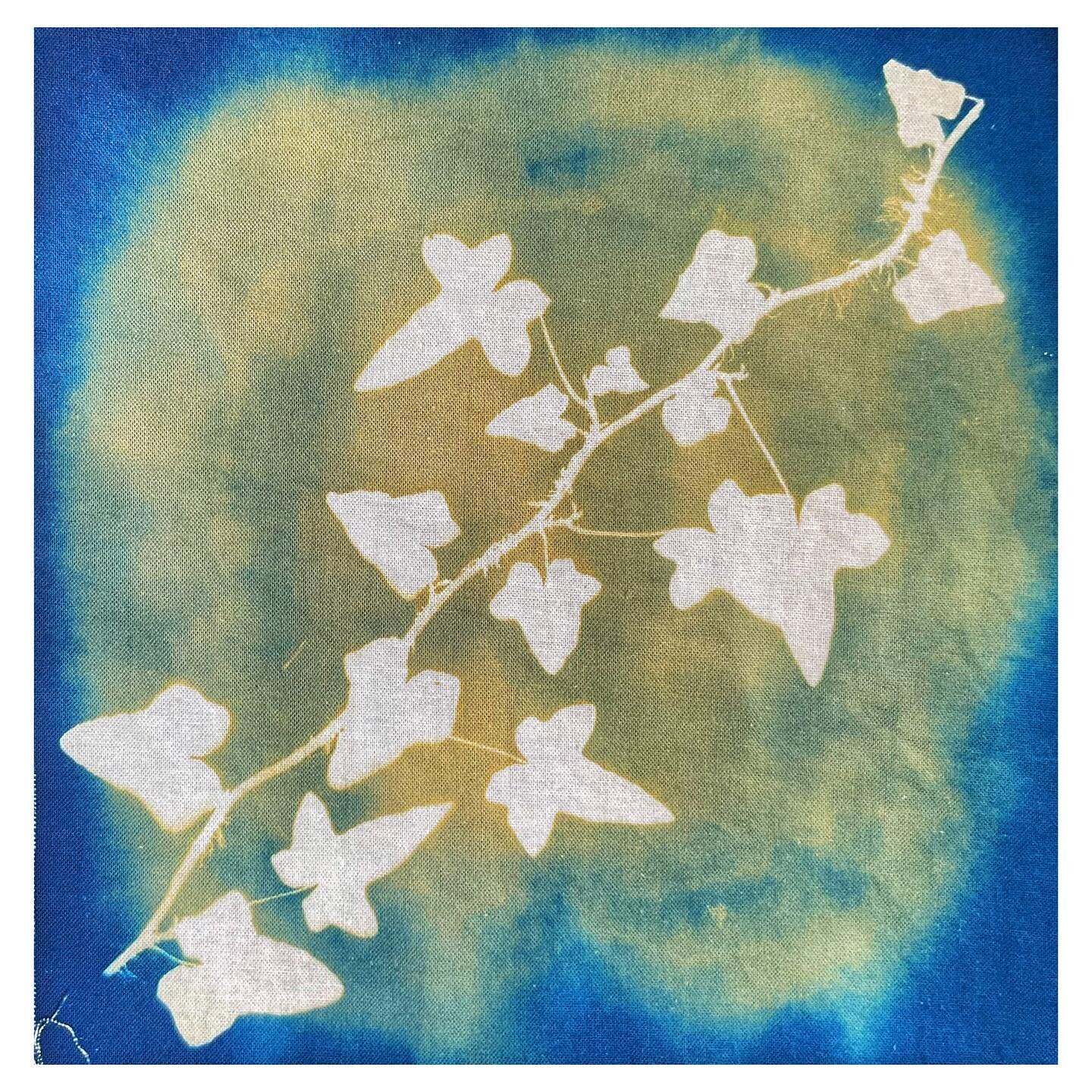 Toned and ready for me to stitch on it! #cyanotypeonfabric

#cyanotype #cianotipia #alternativephotography #sunprint #cyanotypeprint #fotographiaalernativa #photography #printmaking #cyanotypeart #altprocess #wip #altphotoarchive #todaysalternative #