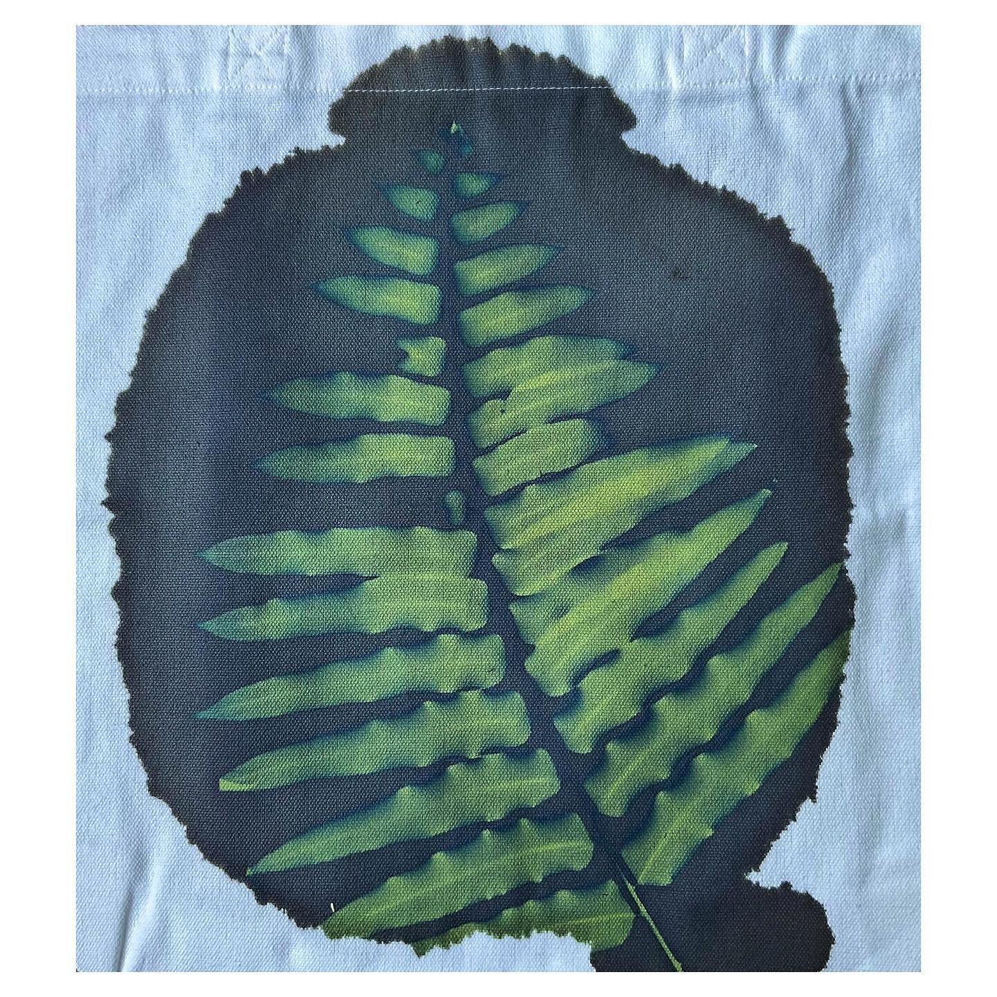 #cyanotypeonfabric just out of the sun of a fern #wip