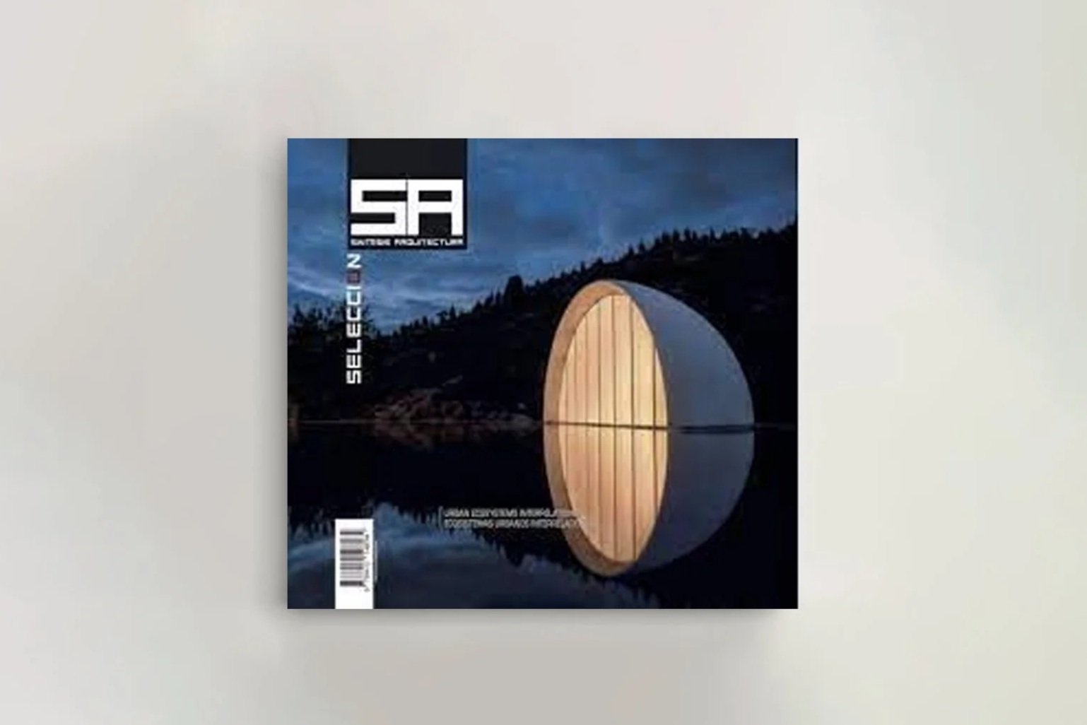 Publication | Sintesis Arquitectura