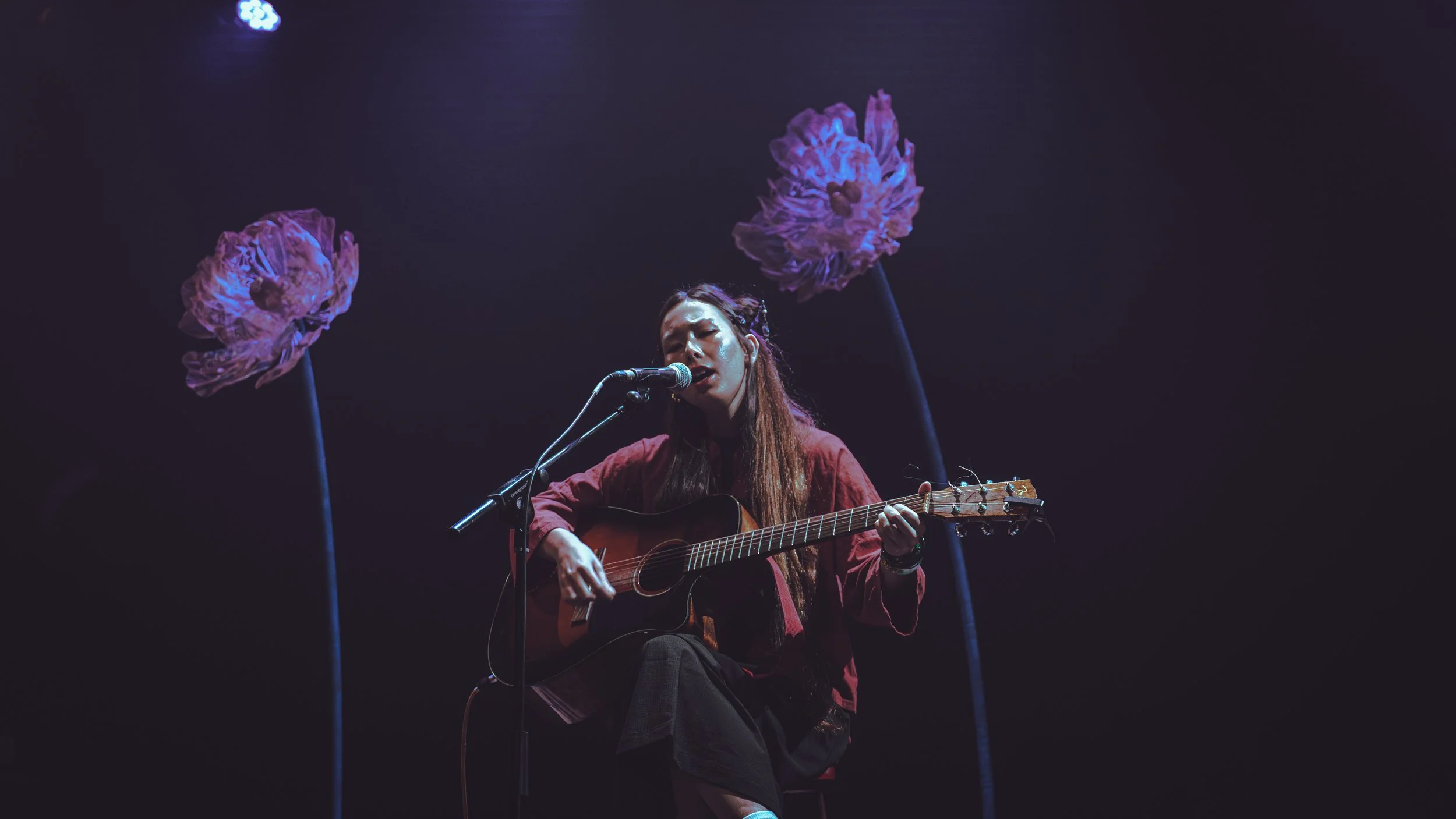 Ping Gig-19.jpg