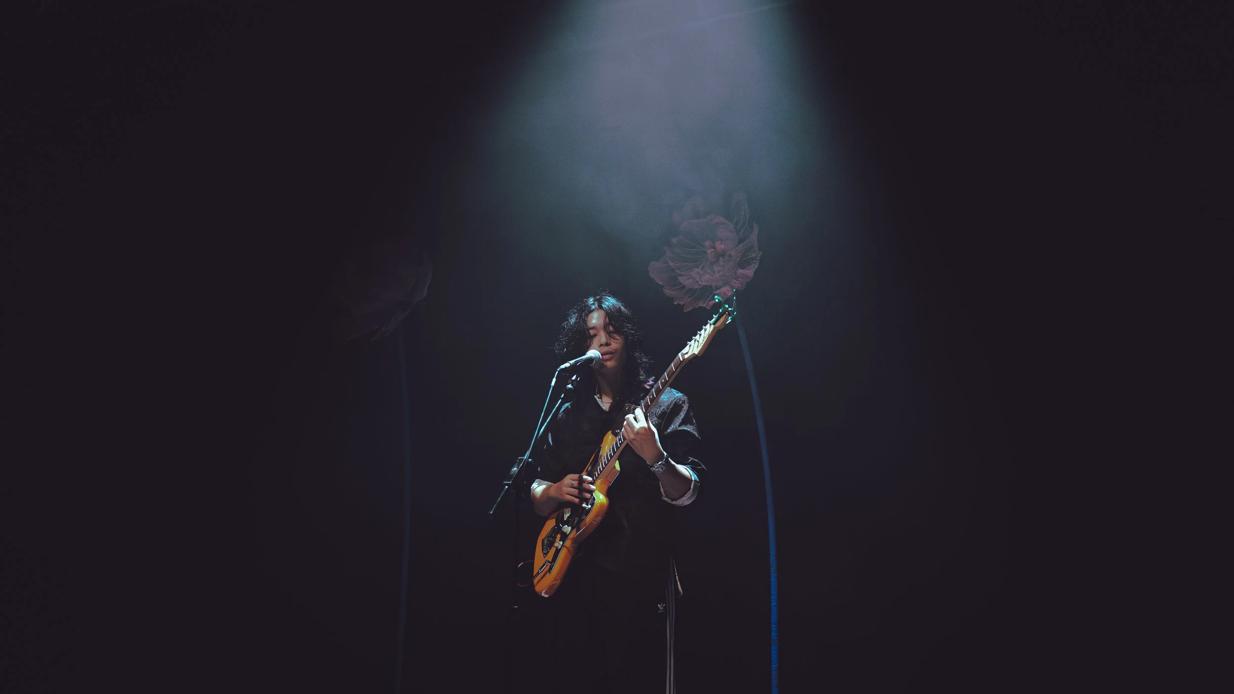 Ping Gig-07.jpg