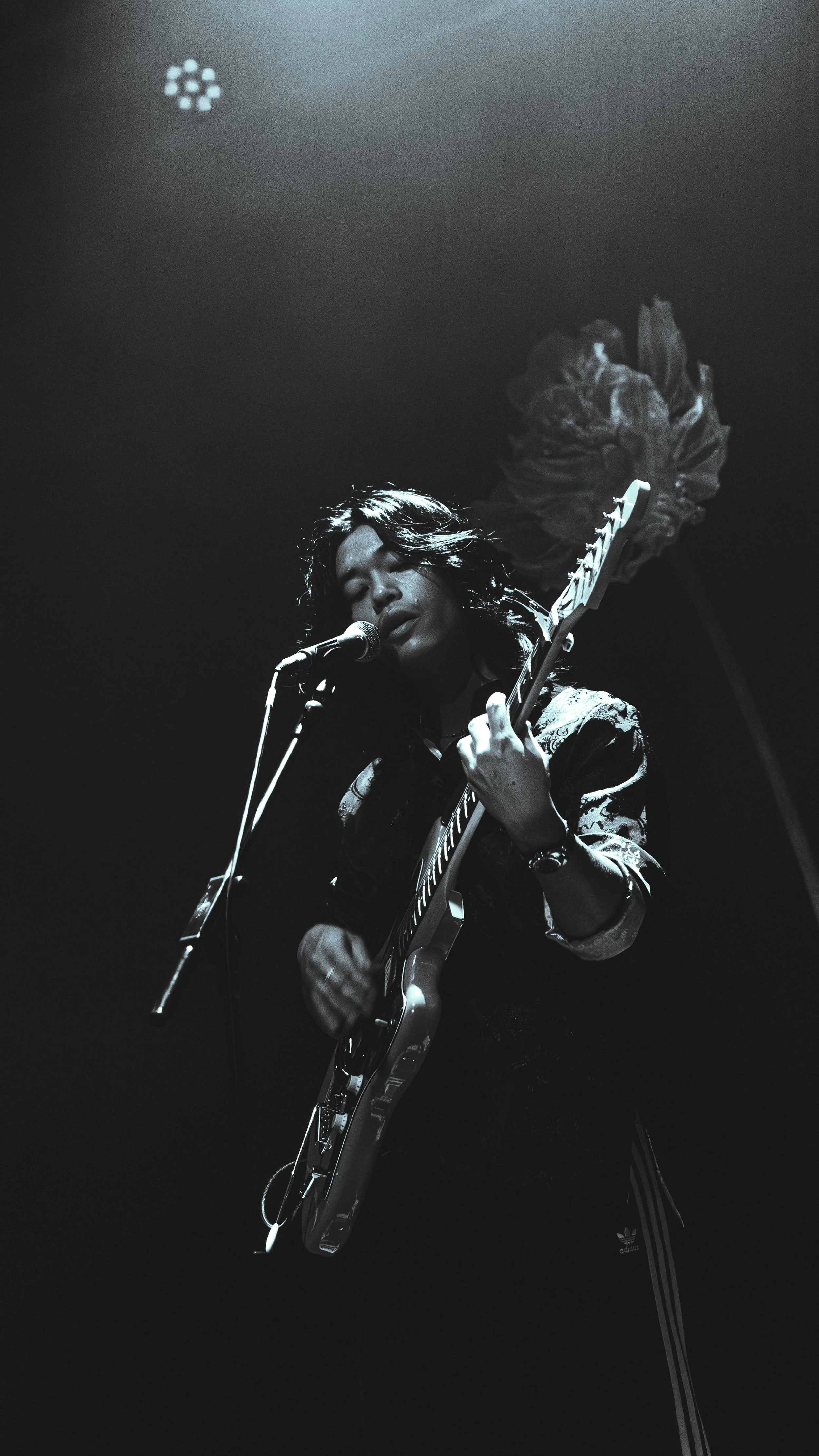 Ping Gig-02.jpg