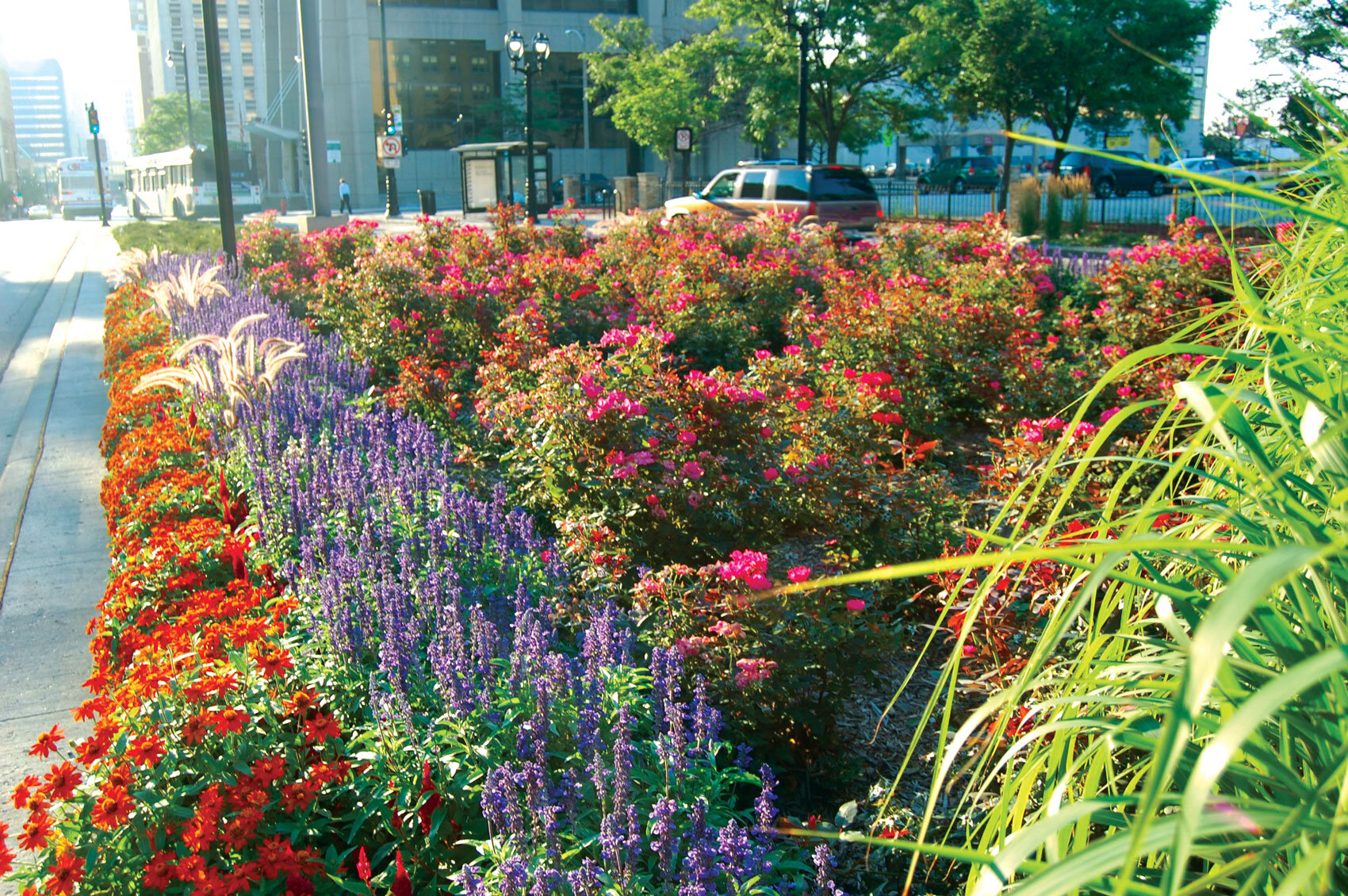 flower_landscaping.jpg