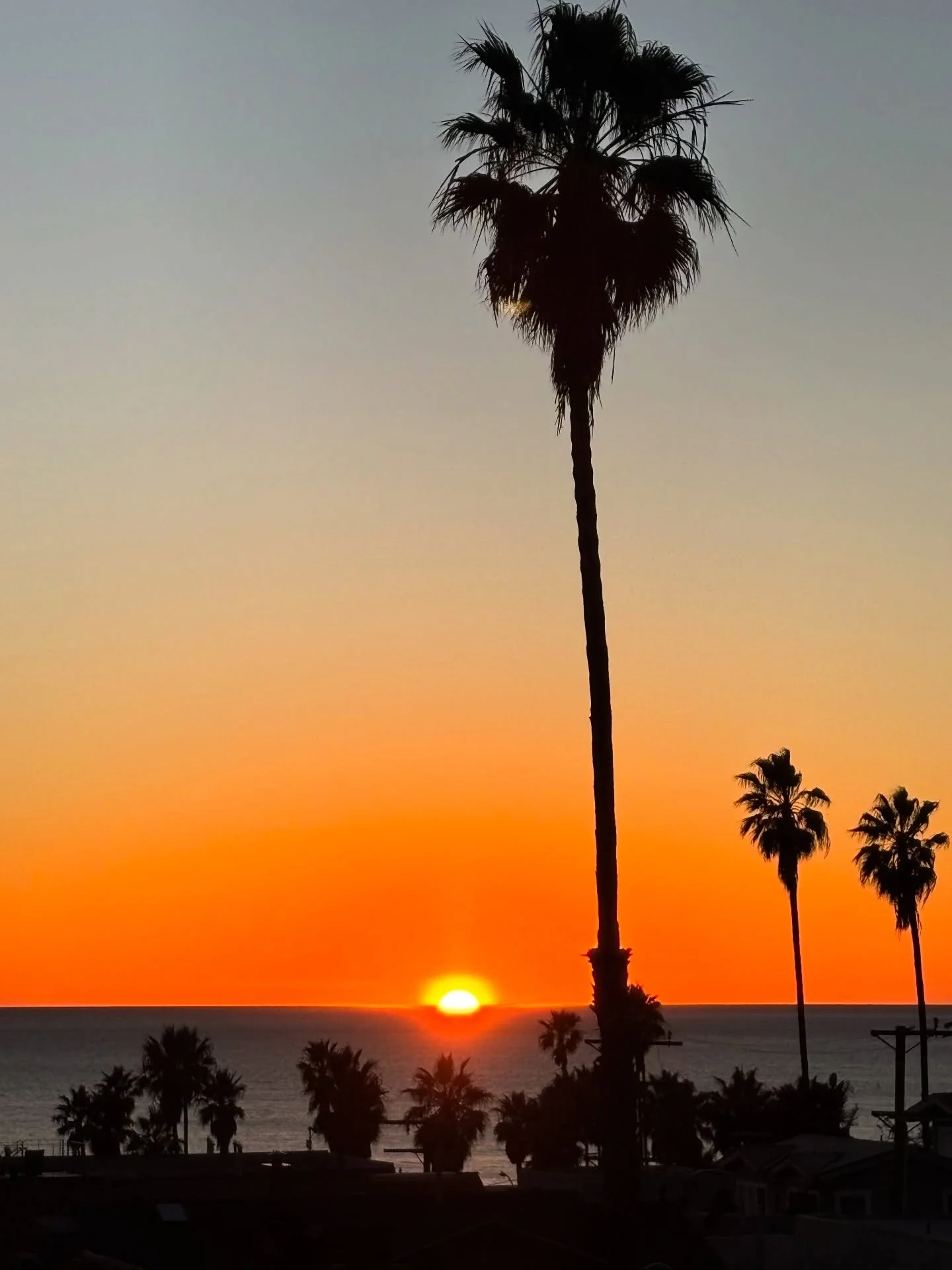 Here&rsquo;s to the end of 2025! What a year it&rsquo;s been and can&rsquo;t wait to see what lies ahead for 2026. Hope it&rsquo;s a happy, healthy and peaceful new year to you all 😁 

Here&rsquo;s some fun inspo from my trip to LA, whose bold enoug