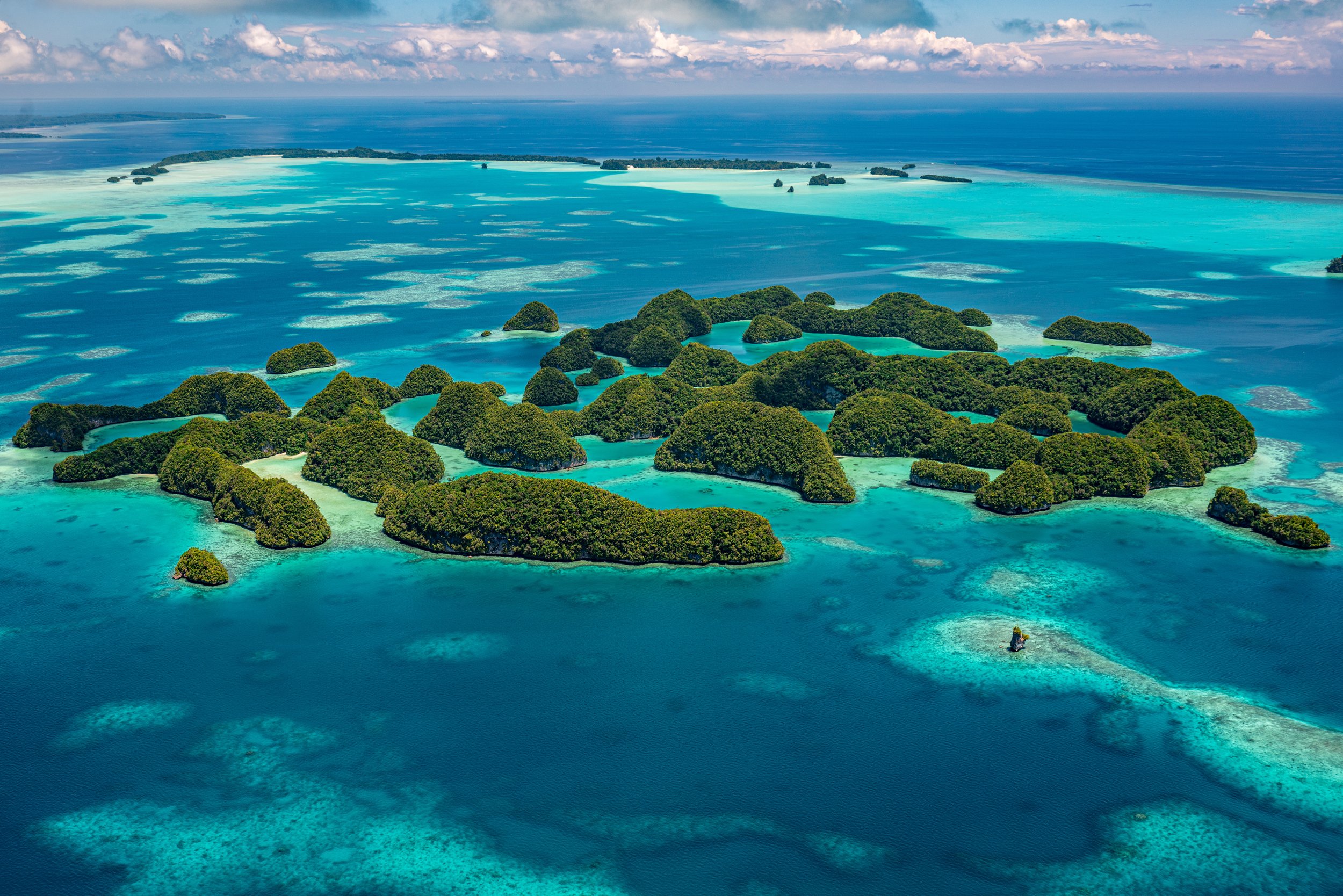 Bumphead New Moon in Palau