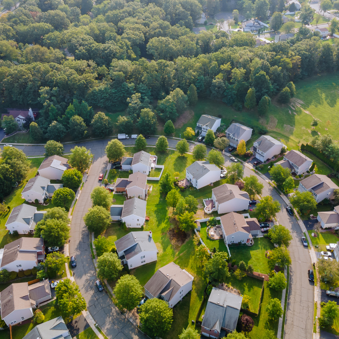 "Neighborhood Nurturer"