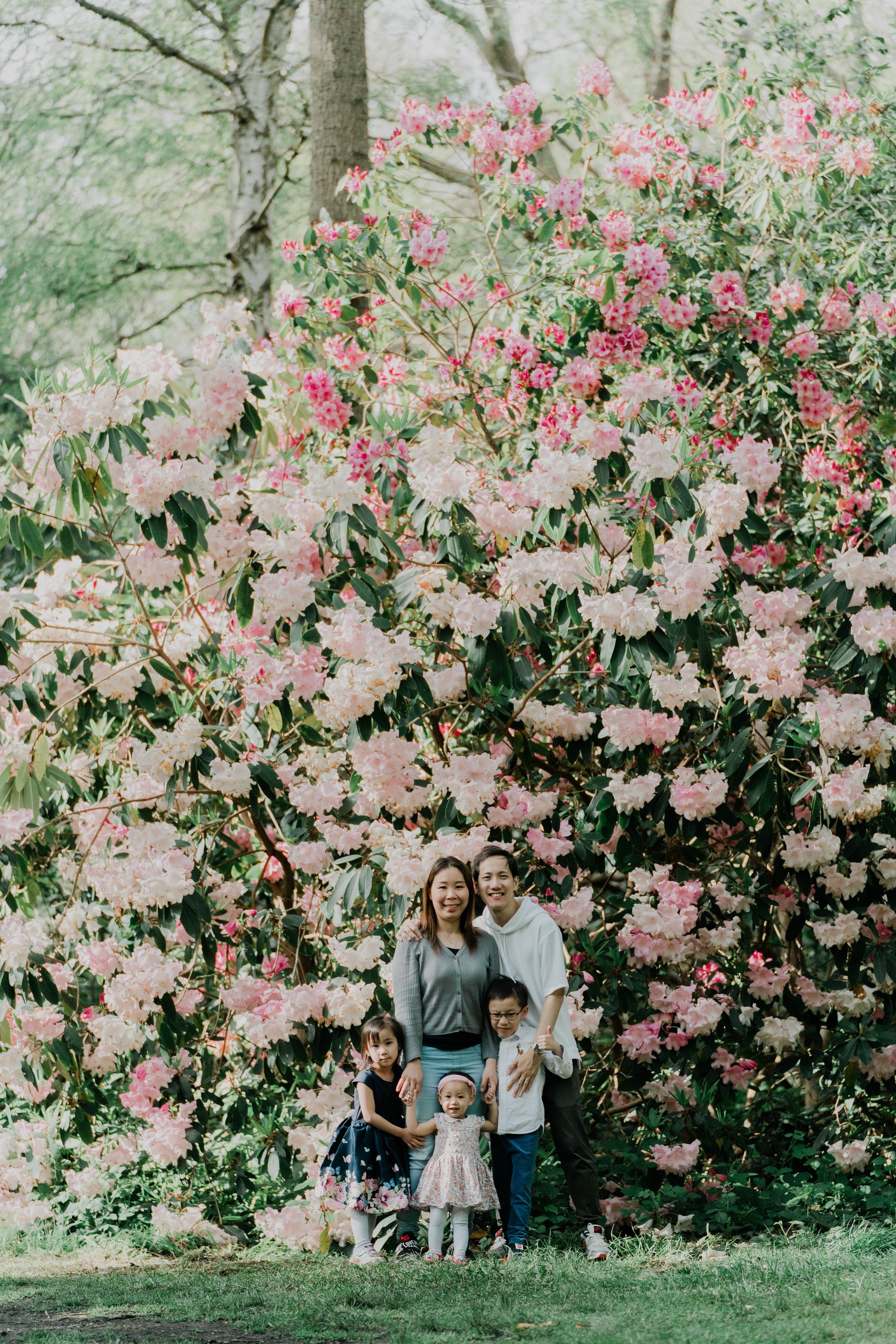 family-portfolio-1.jpg
