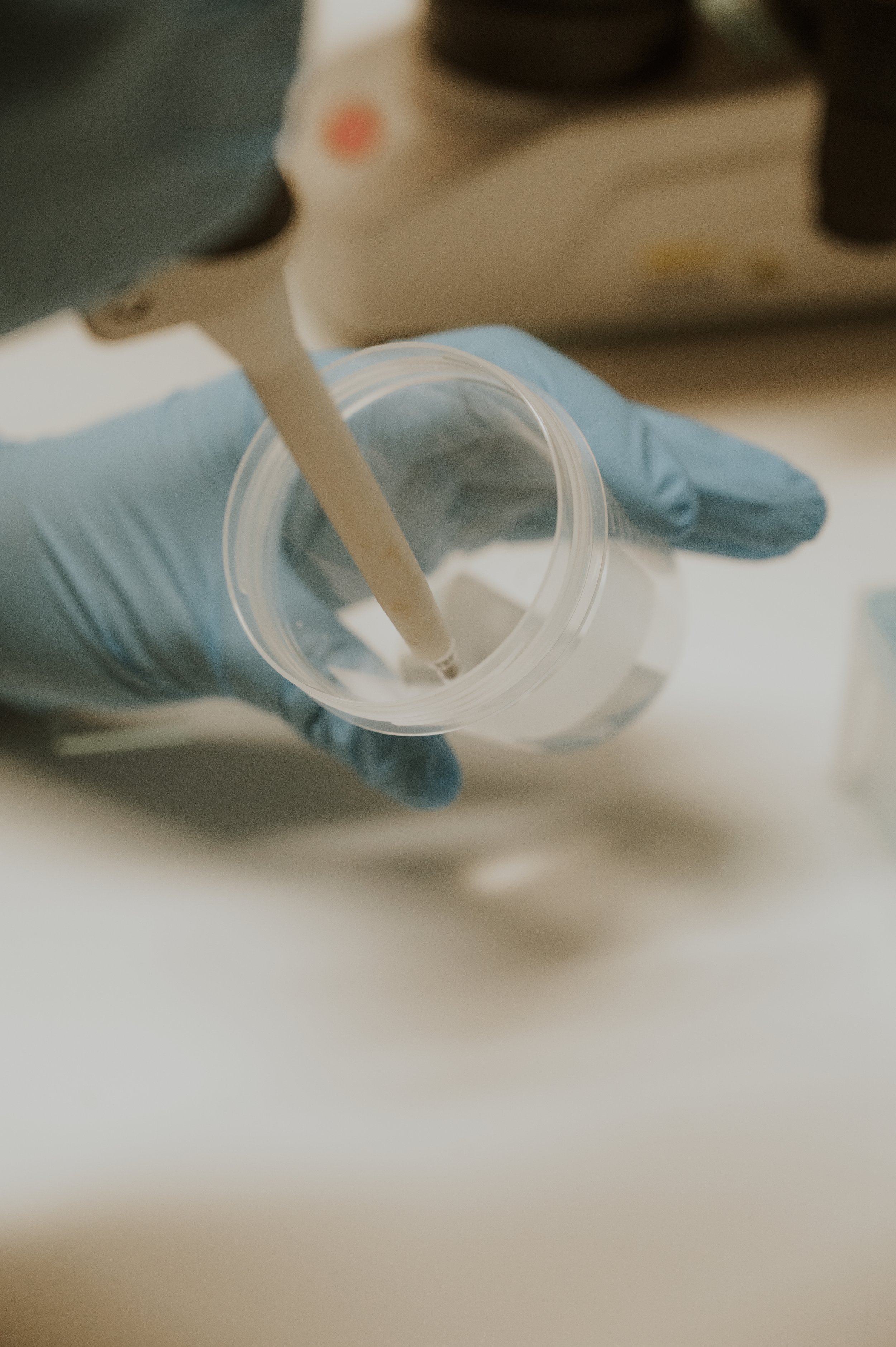 Gloved hand using pipette in laboratory container