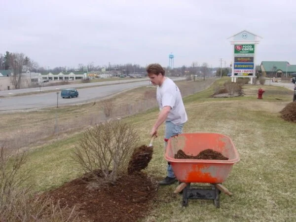 mulch.jpg