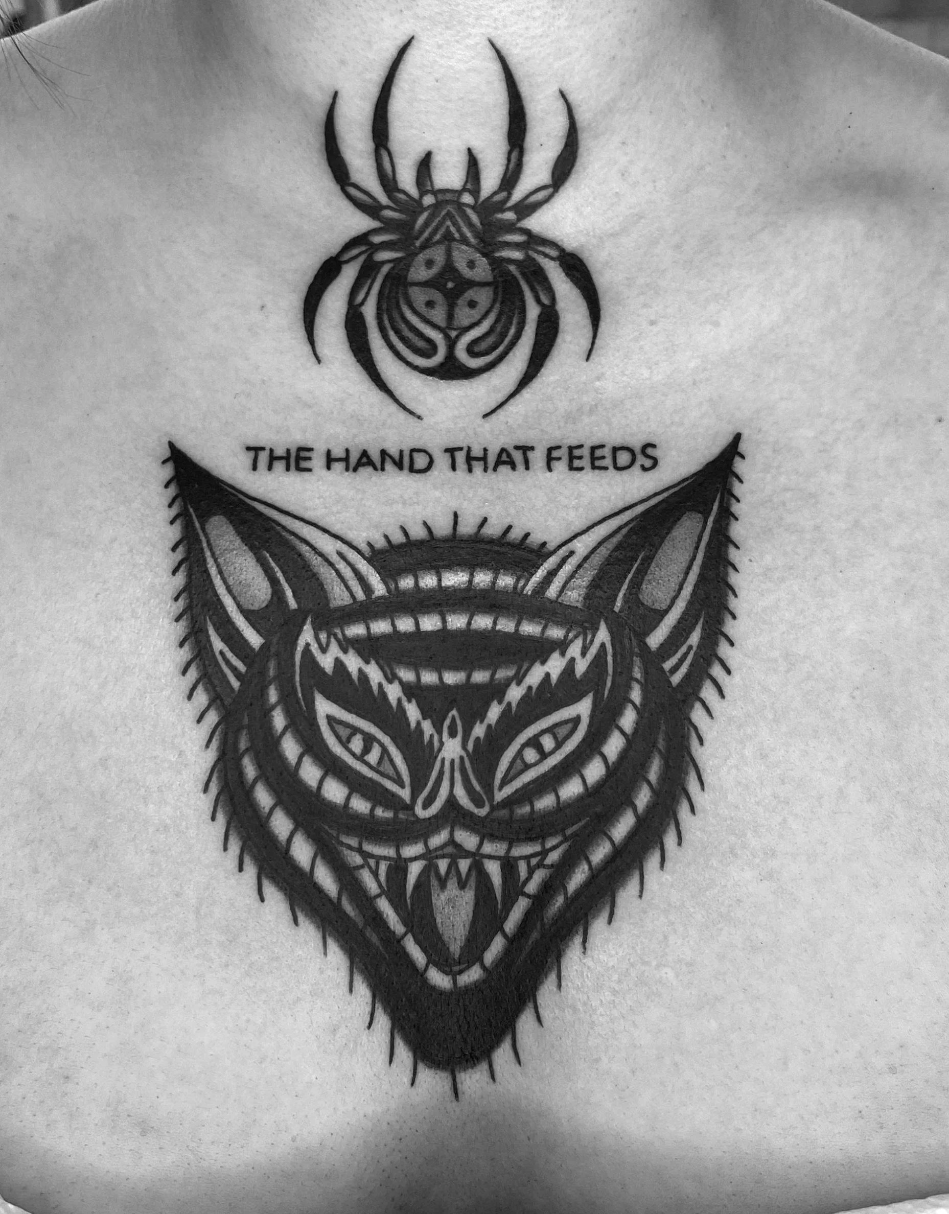 Cat &amp; Spider Tattoo