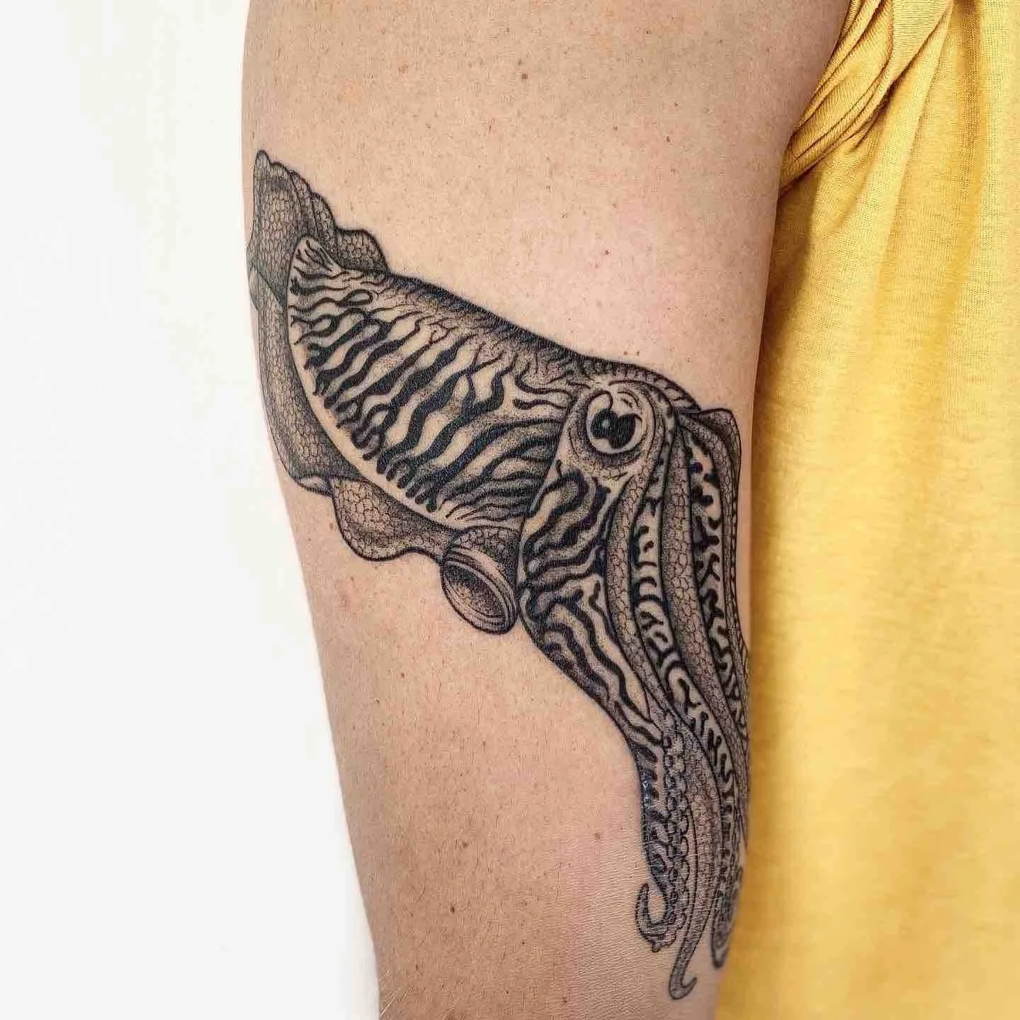 Cuttle-fish-tattoo-marine-blackwork-ocean-upper-arm.jpeg