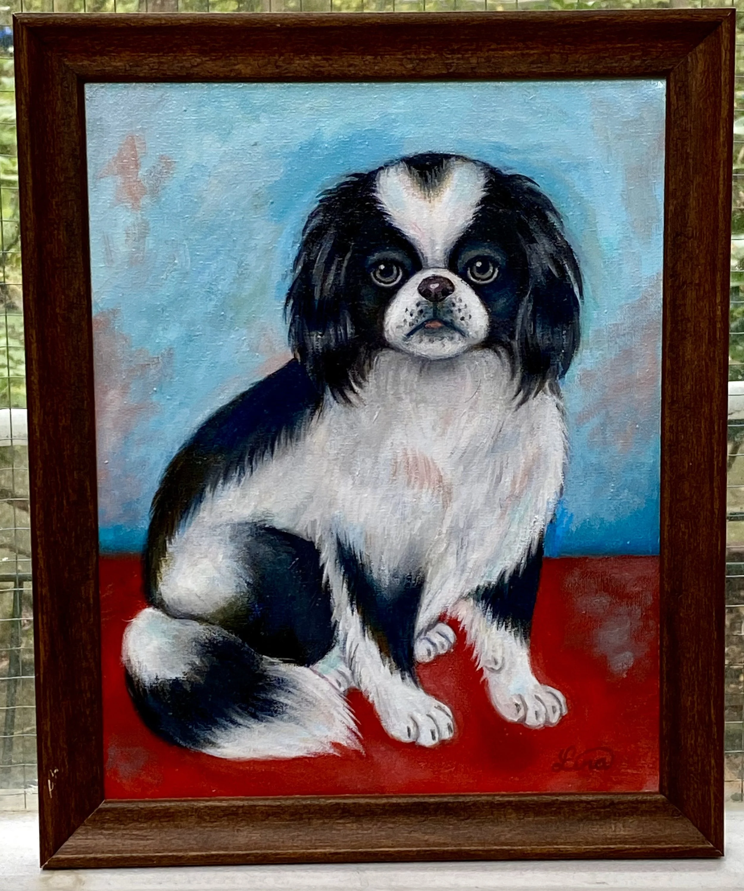 Arthur, Japanese Chin, 2025