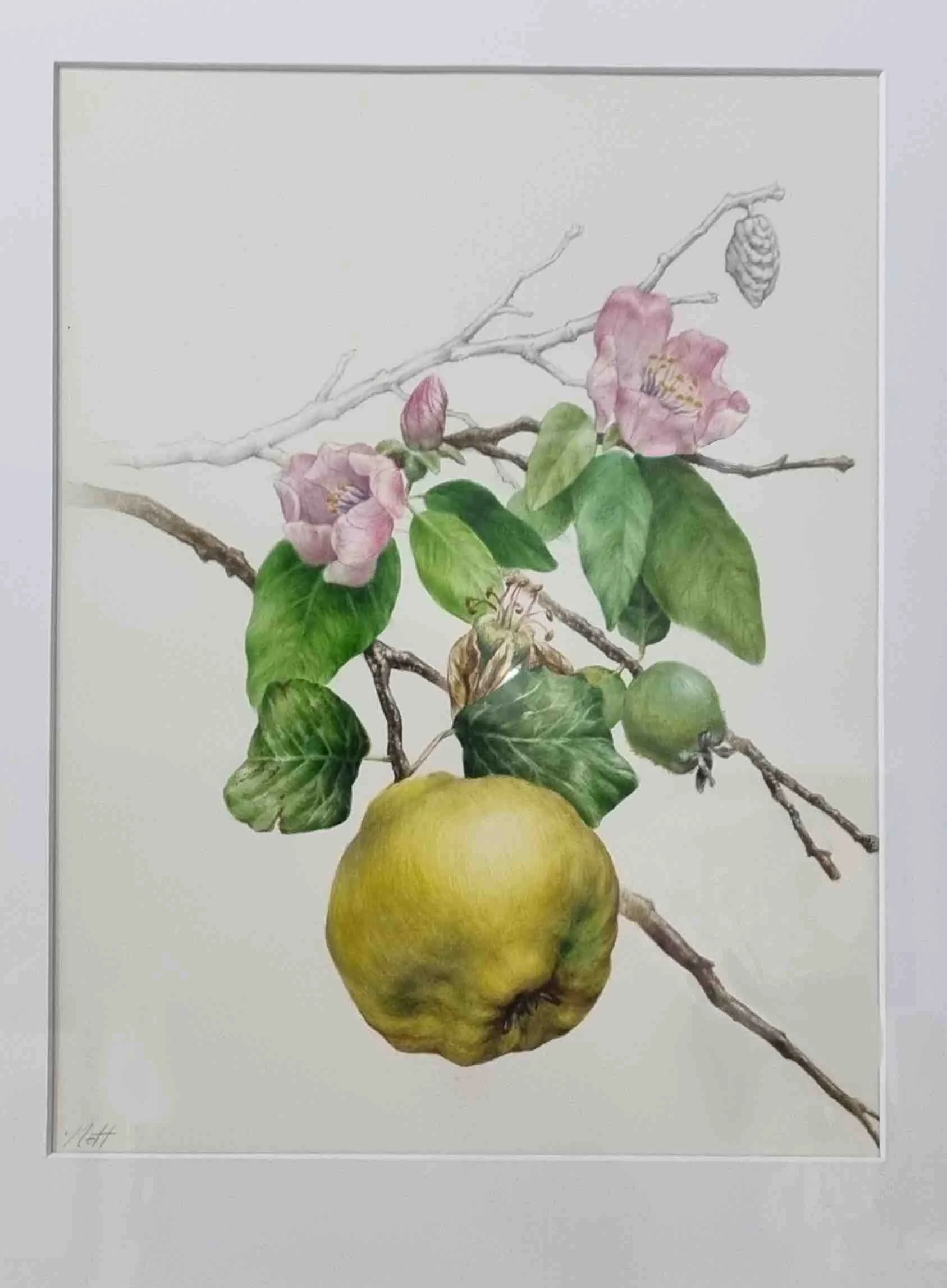 Nancy-tattoo-watercolour-botanical-workshop-pear.jpeg
