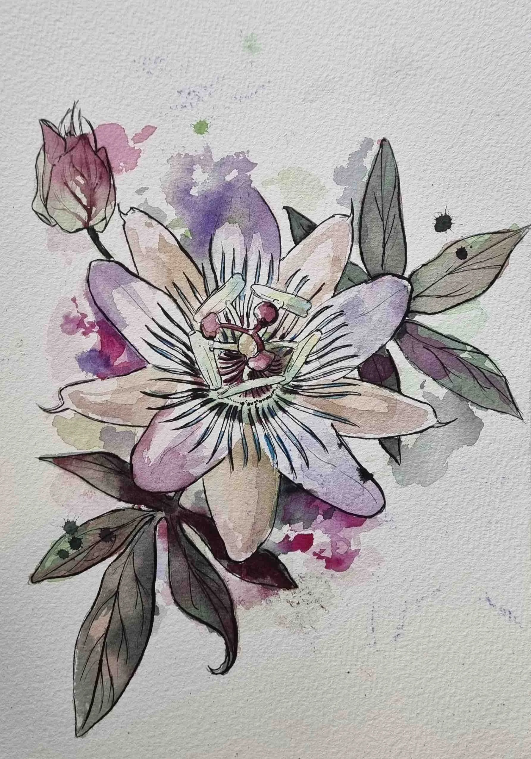 Nancy-watercolour-botanical-workshop.jpeg