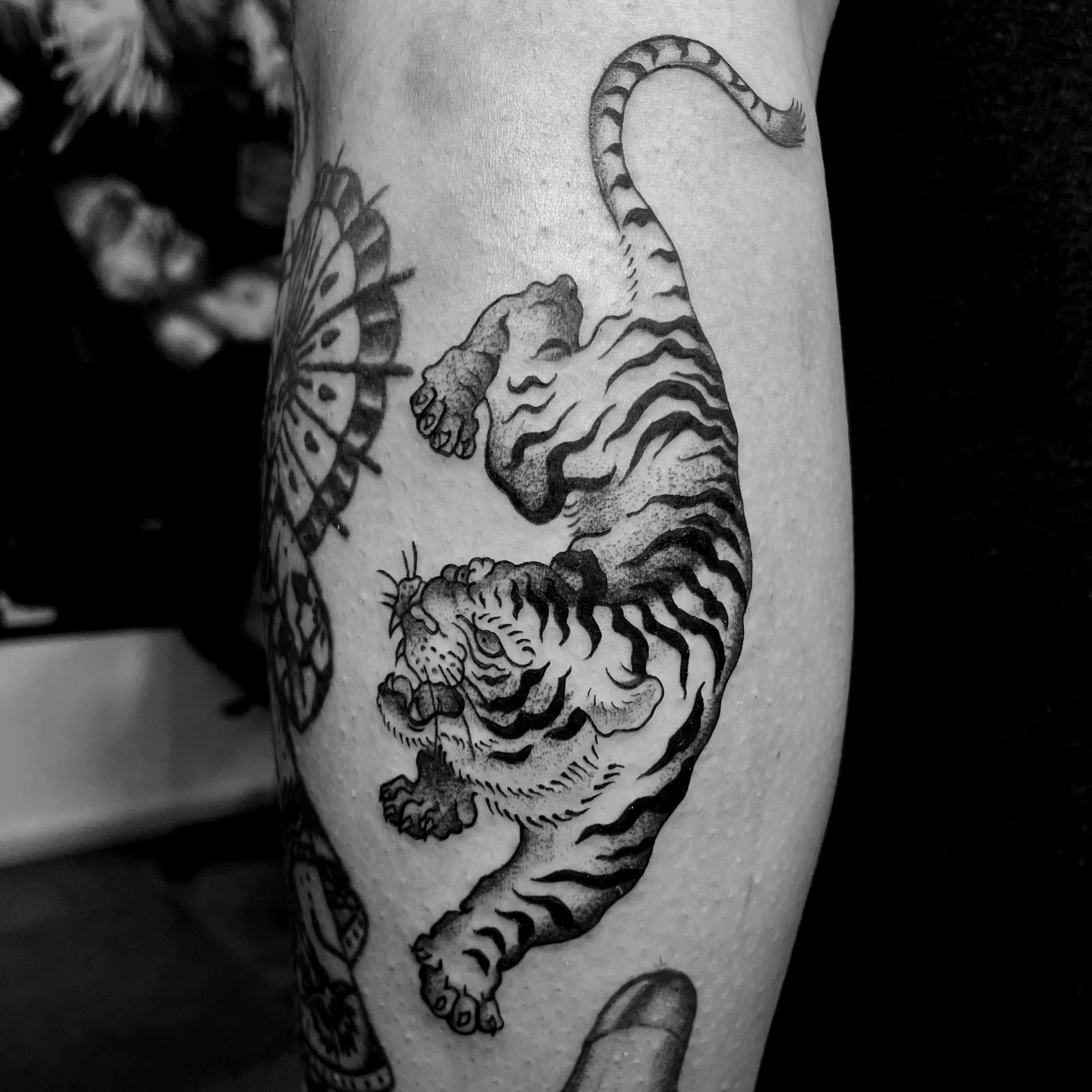 Tiger on back leg Tattoo