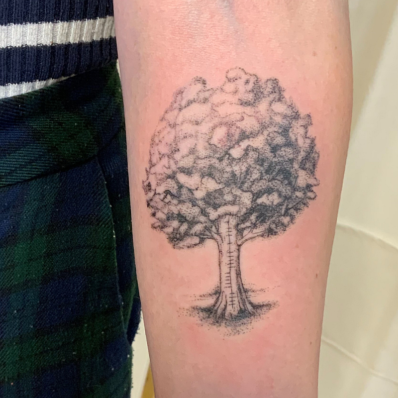 Tree tattoo idea in dotwork tattoo style