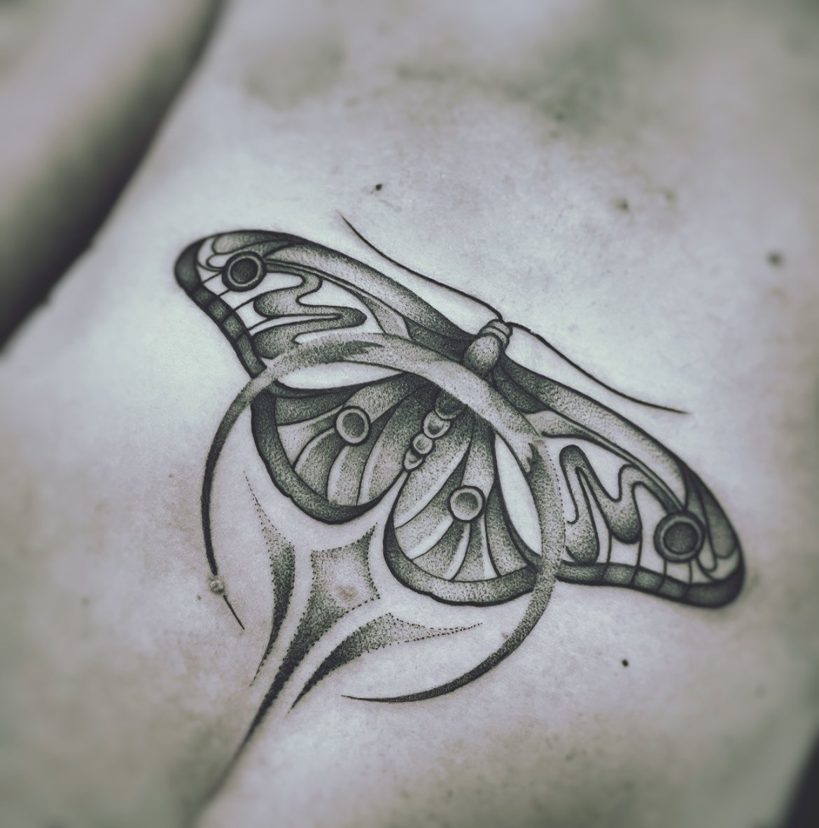 Luna Moth Tattoo