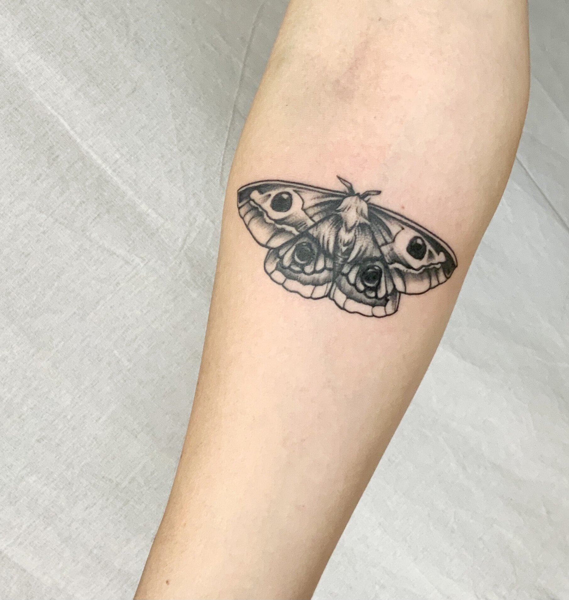 Moth tattoo idea on arm